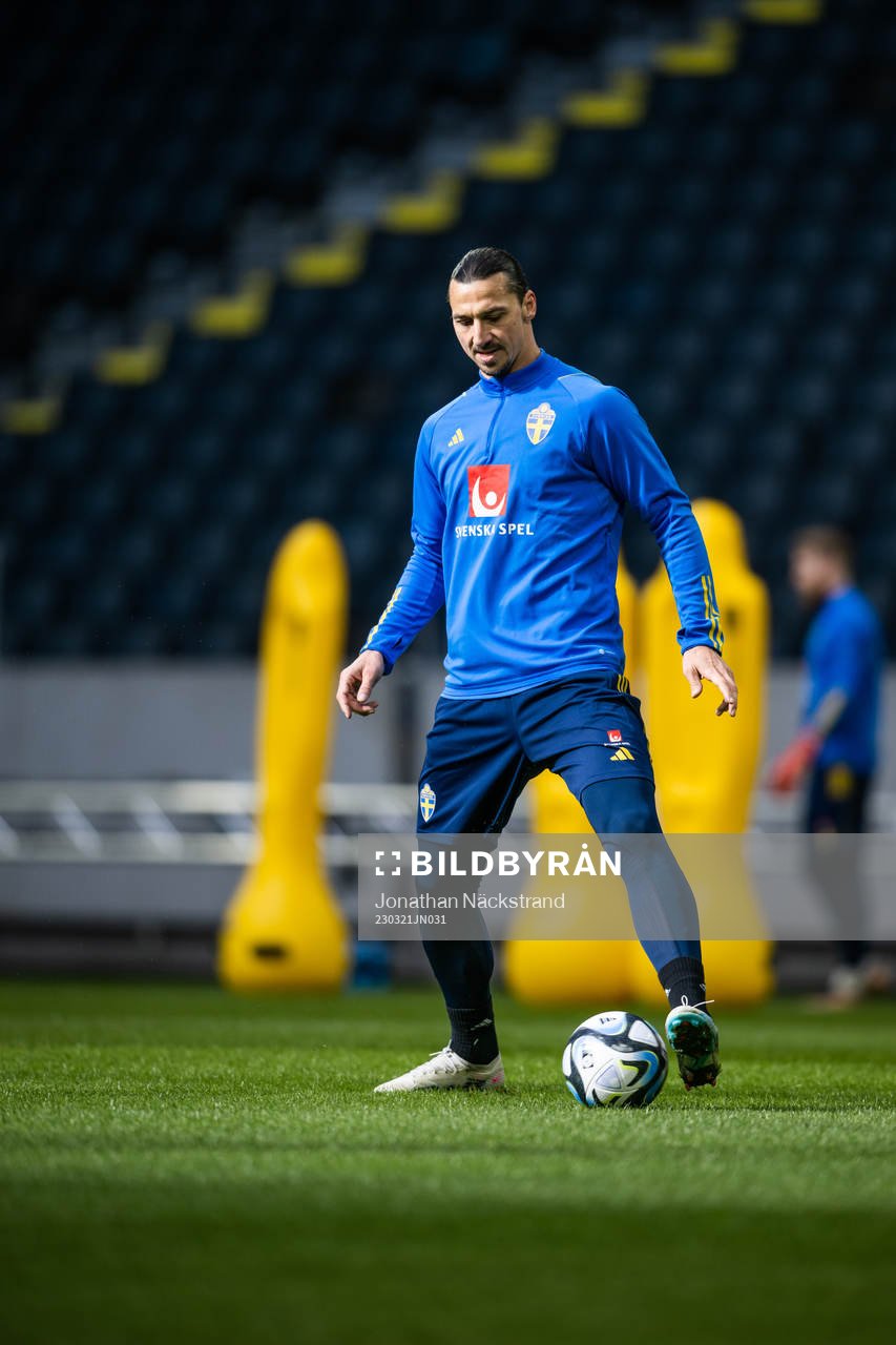 Zlatan Ibrahimovic of the Swedish national football team