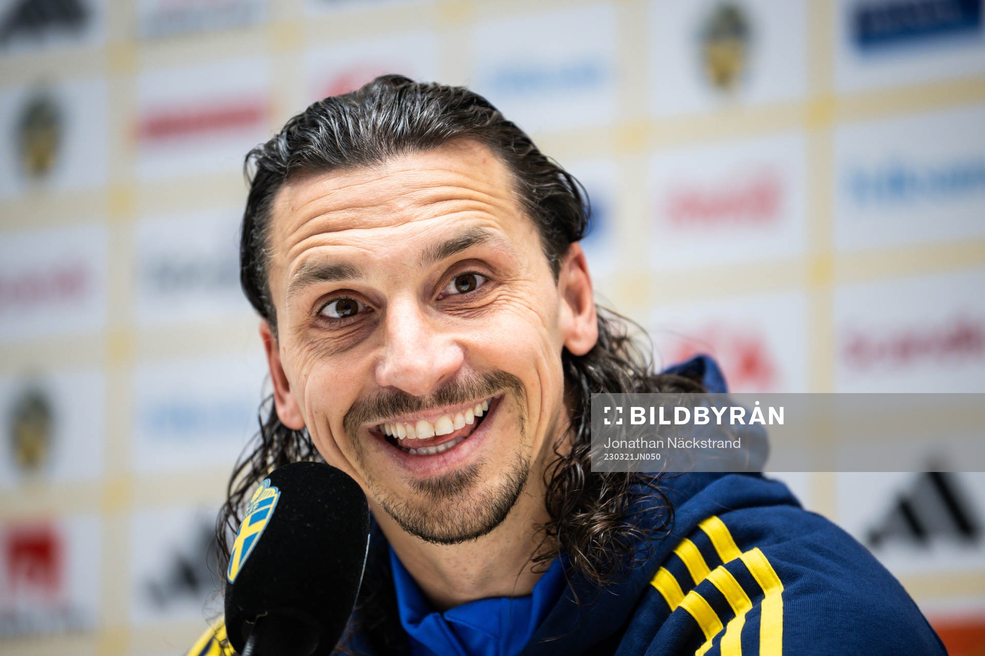 Zlatan Ibrahimovic of the Swedish national football team