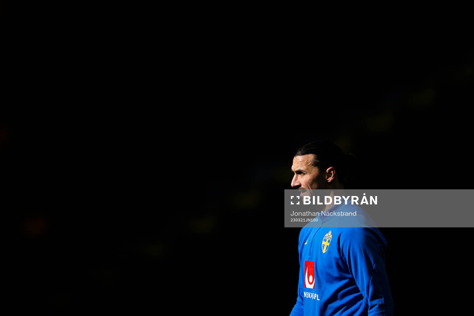 Zlatan Ibrahimovic of the Swedish national football team