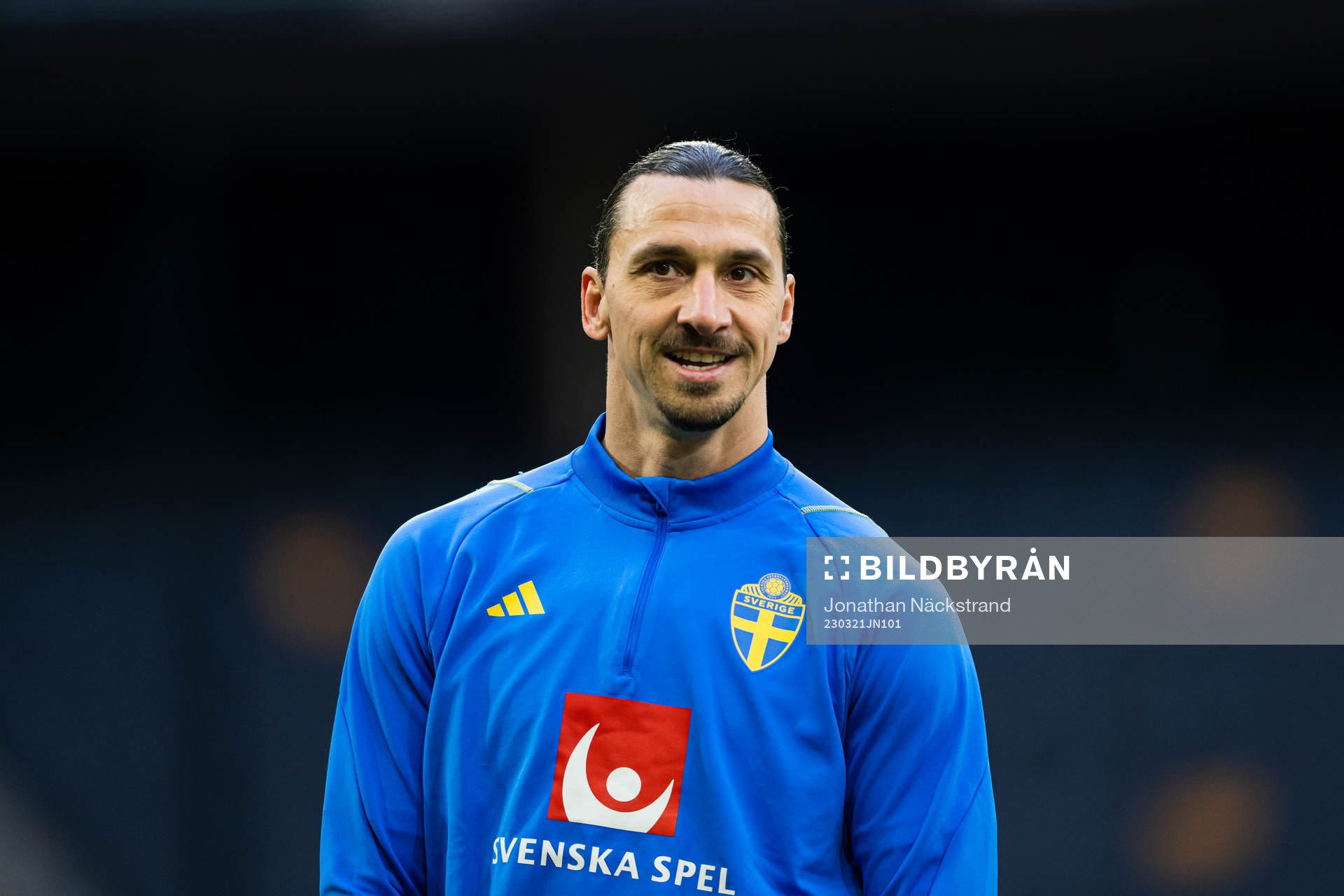 Zlatan Ibrahimovic of the Swedish national football team