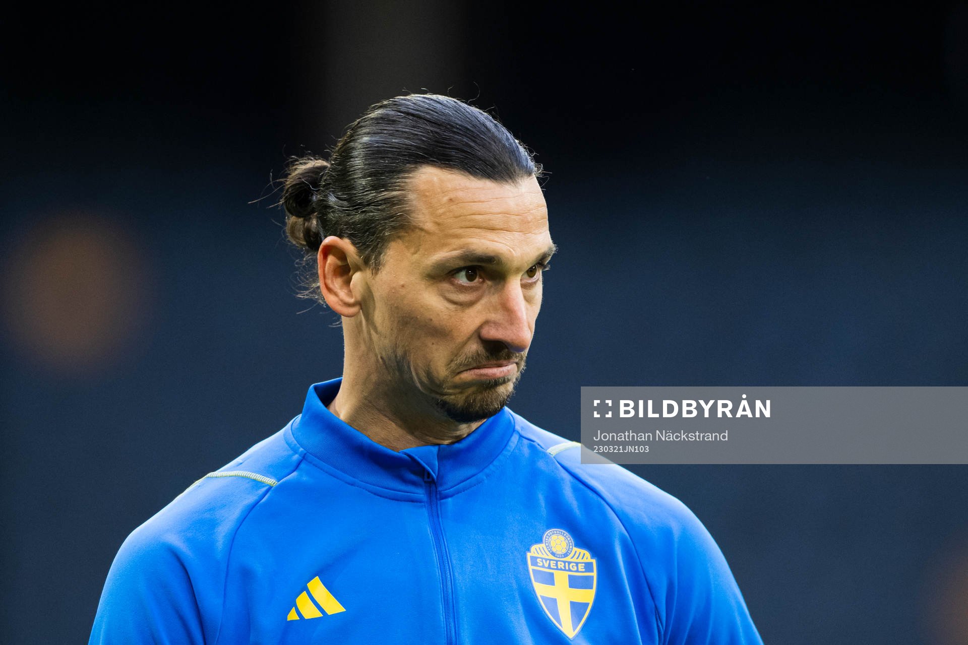 Zlatan Ibrahimovic of the Swedish national football team