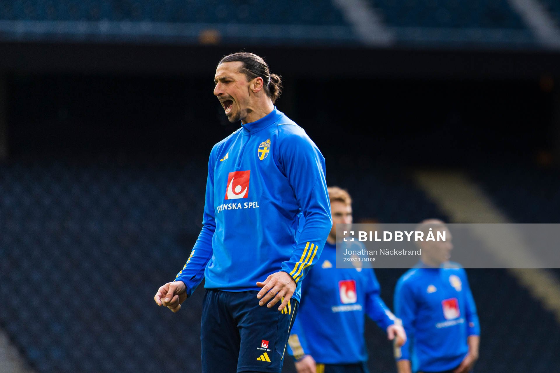 Zlatan Ibrahimovic of the Swedish national football team