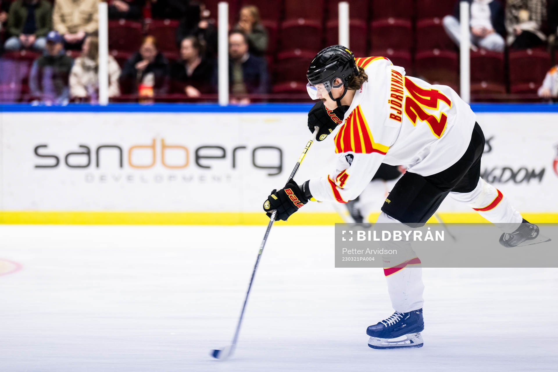 Brynäs Hannes Björninen