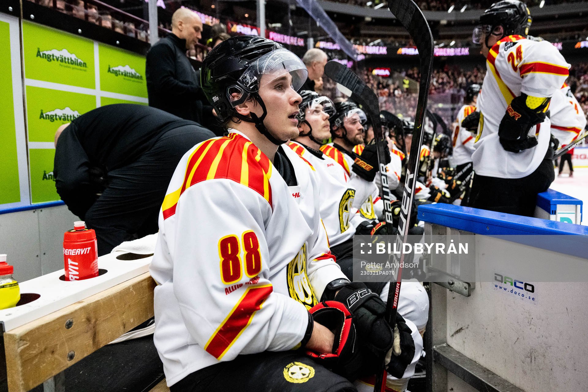 Brynäs Dmytro Timashov