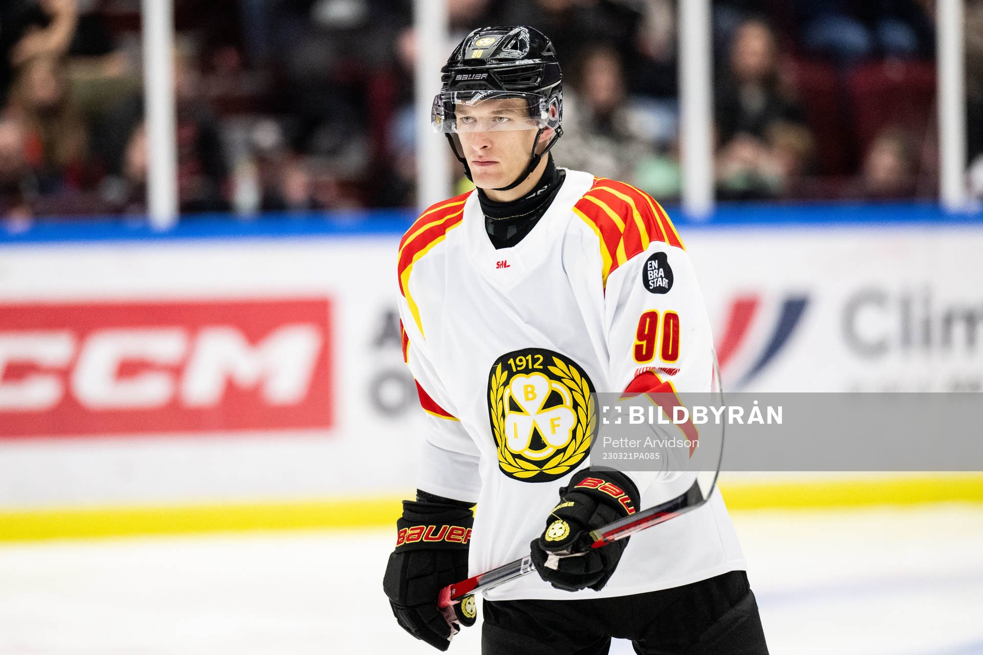Brynäs David Sklenicka