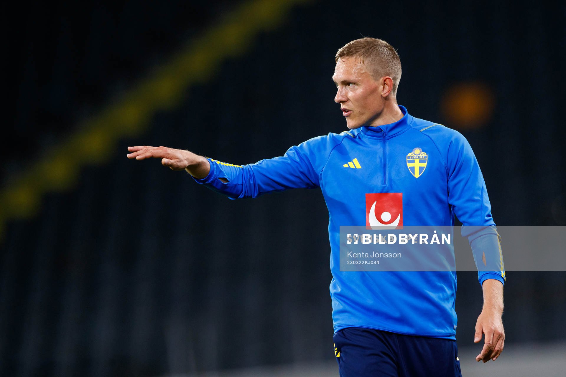 Ludwig Augustinsson