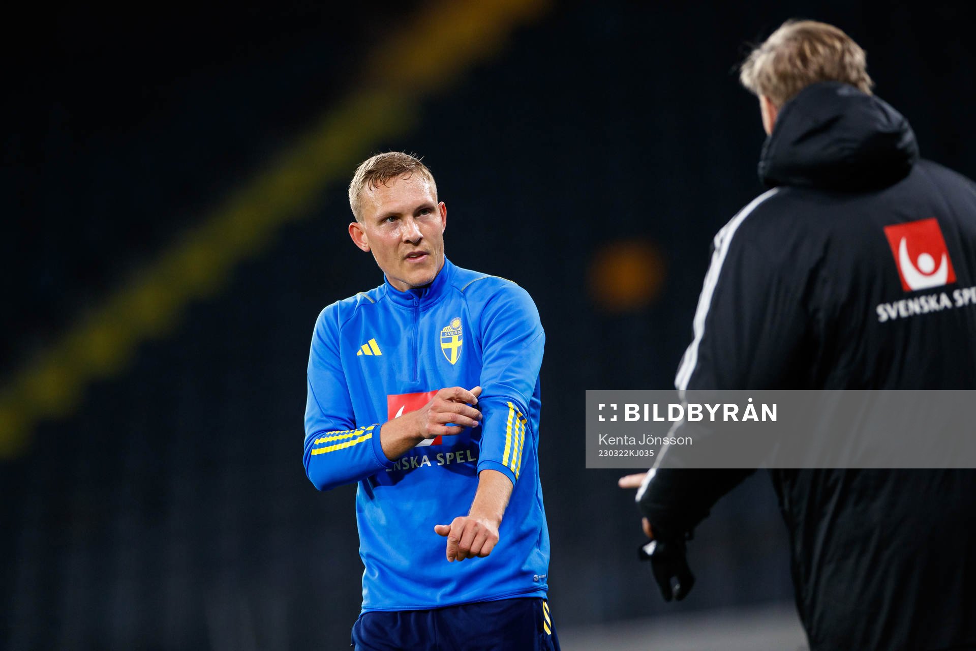 Ludwig Augustinsson