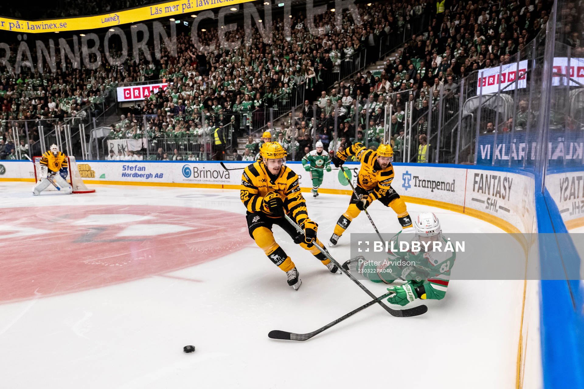 Skellefteås Jonathan Johnsson och Arvid Lundberg mot