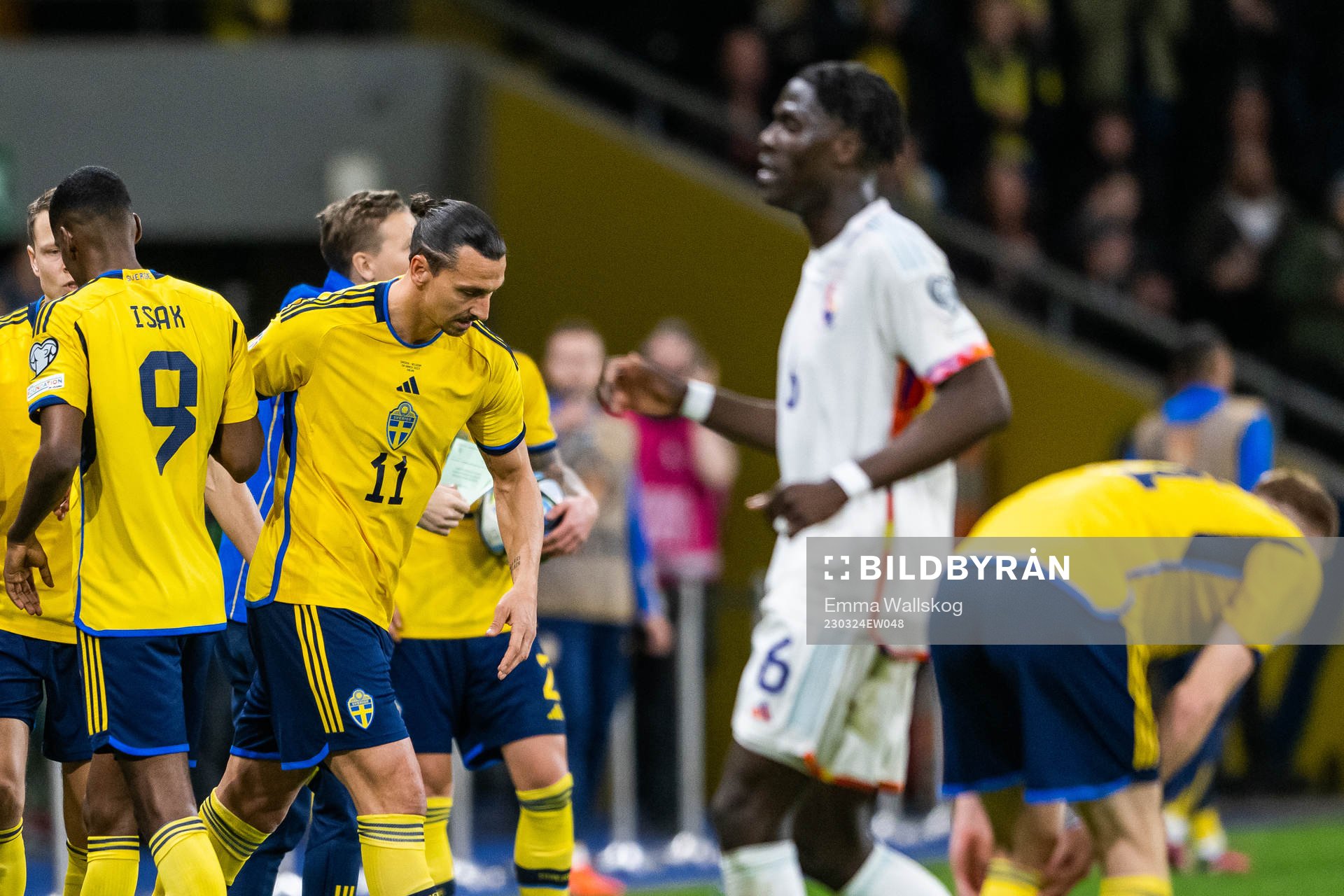 Zlatan Ibrahimovic of Sweden is substituted