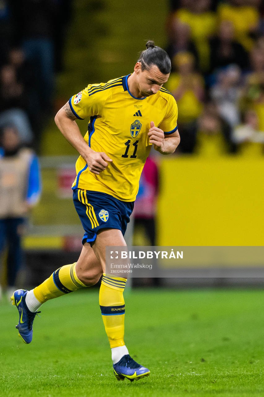 Zlatan Ibrahimovic of Sweden is substituted