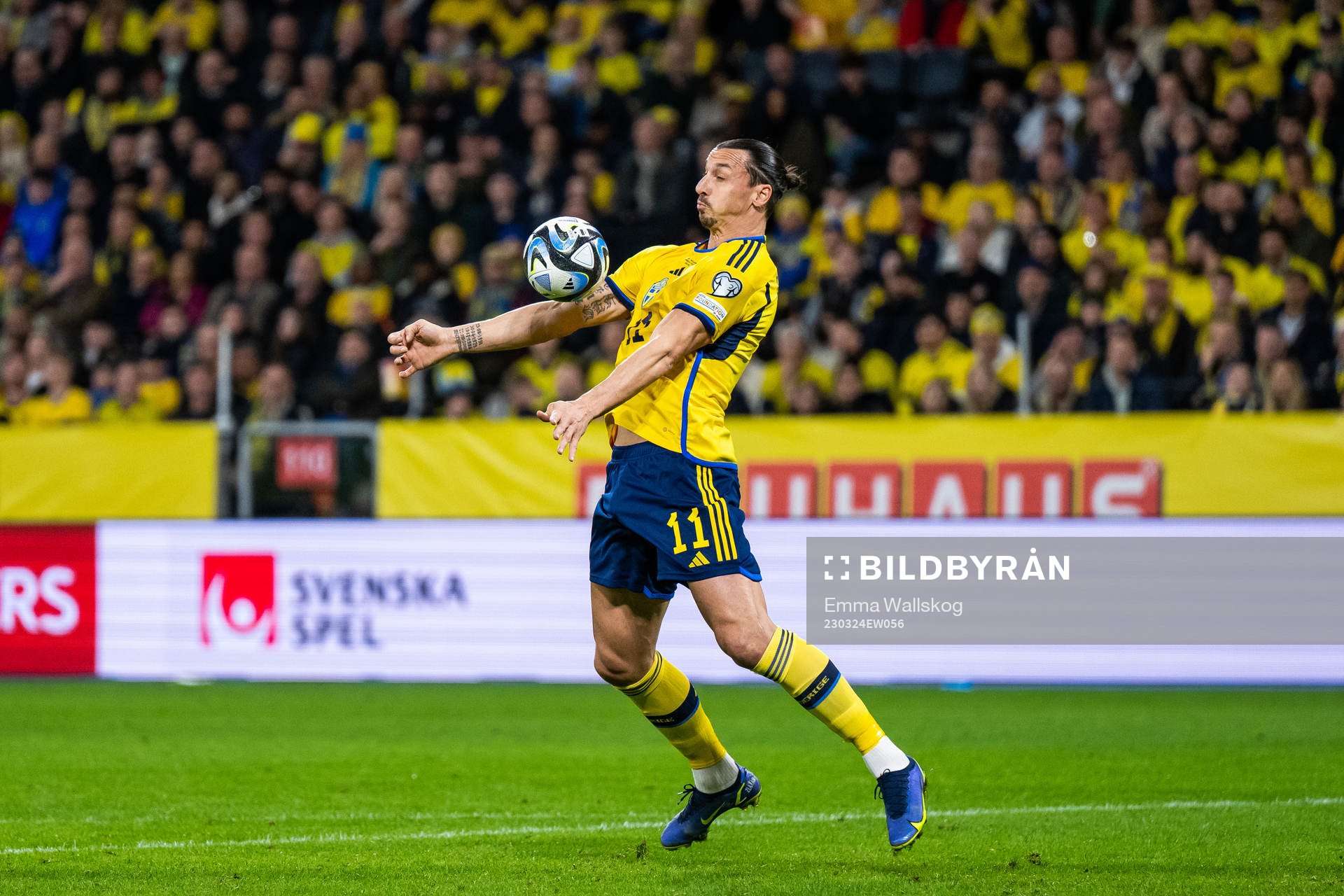 Zlatan Ibrahimovic of Sweden