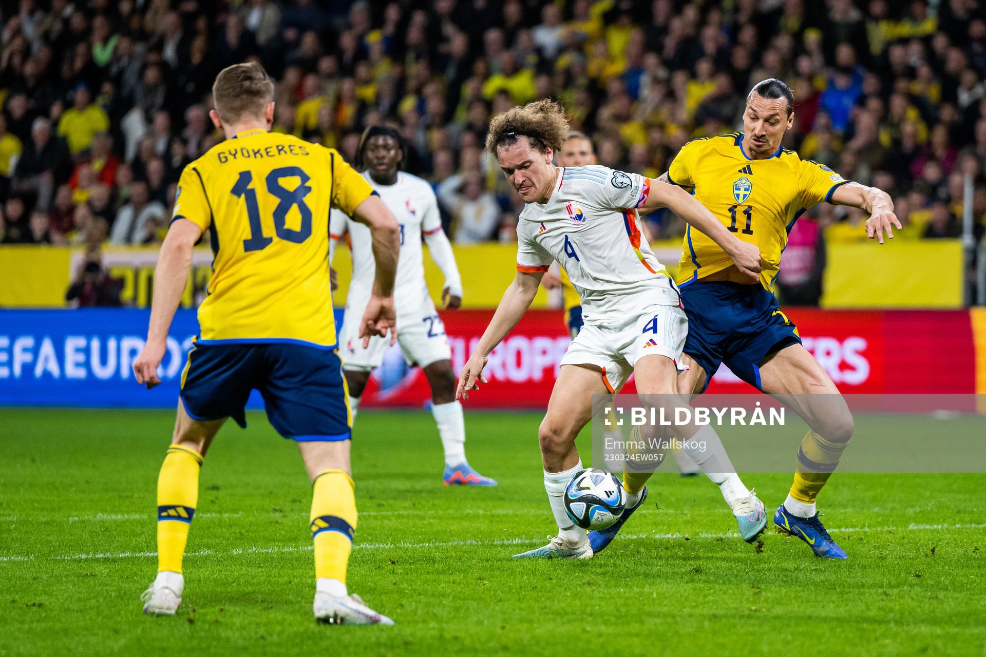 Wout Faes of Belgium and Zlatan Ibrahimovic of Sweden