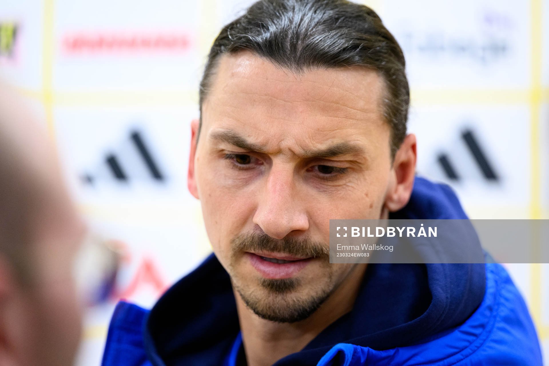 Zlatan Ibrahimovic of Sweden
