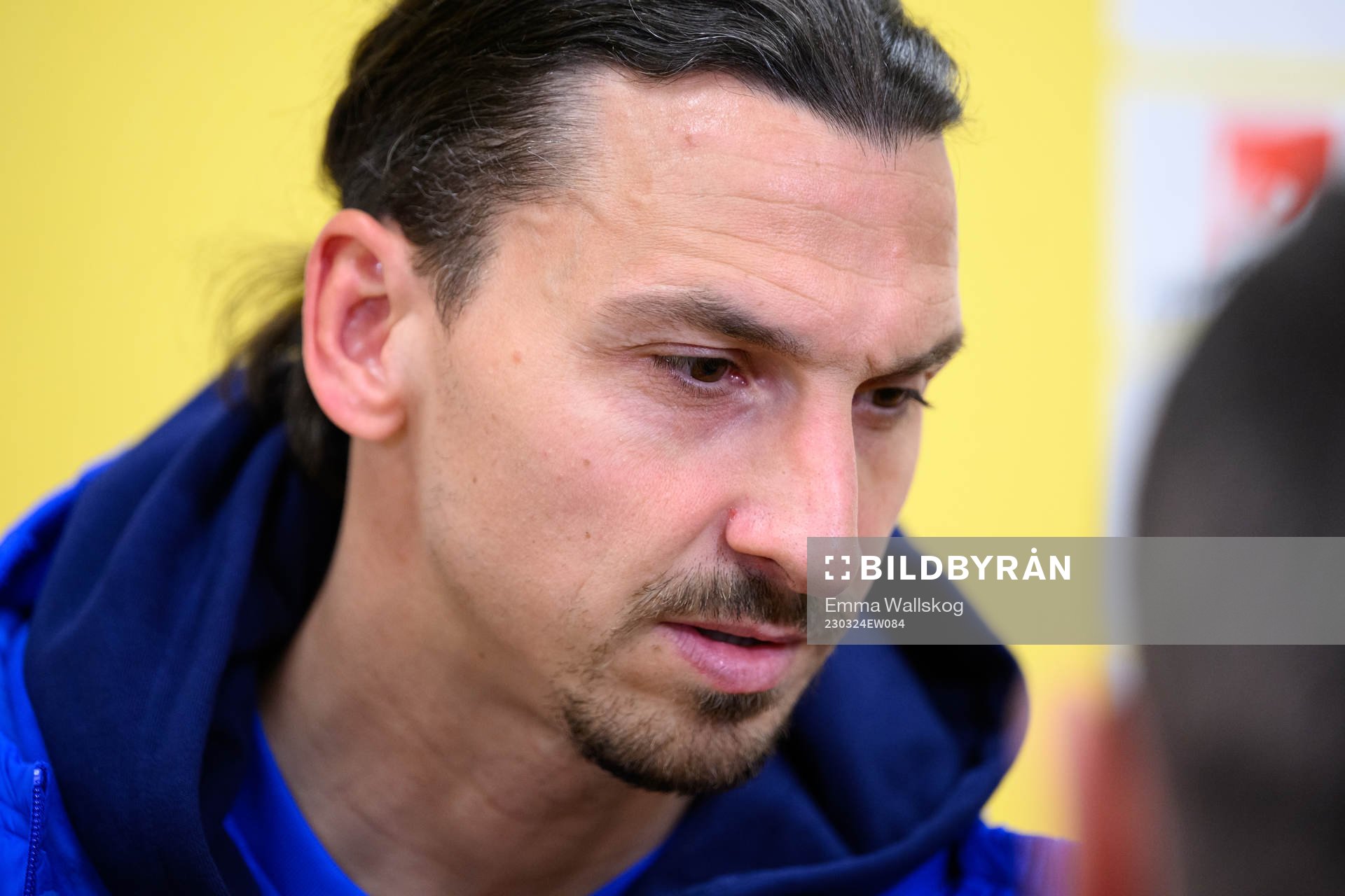 Zlatan Ibrahimovic of Sweden