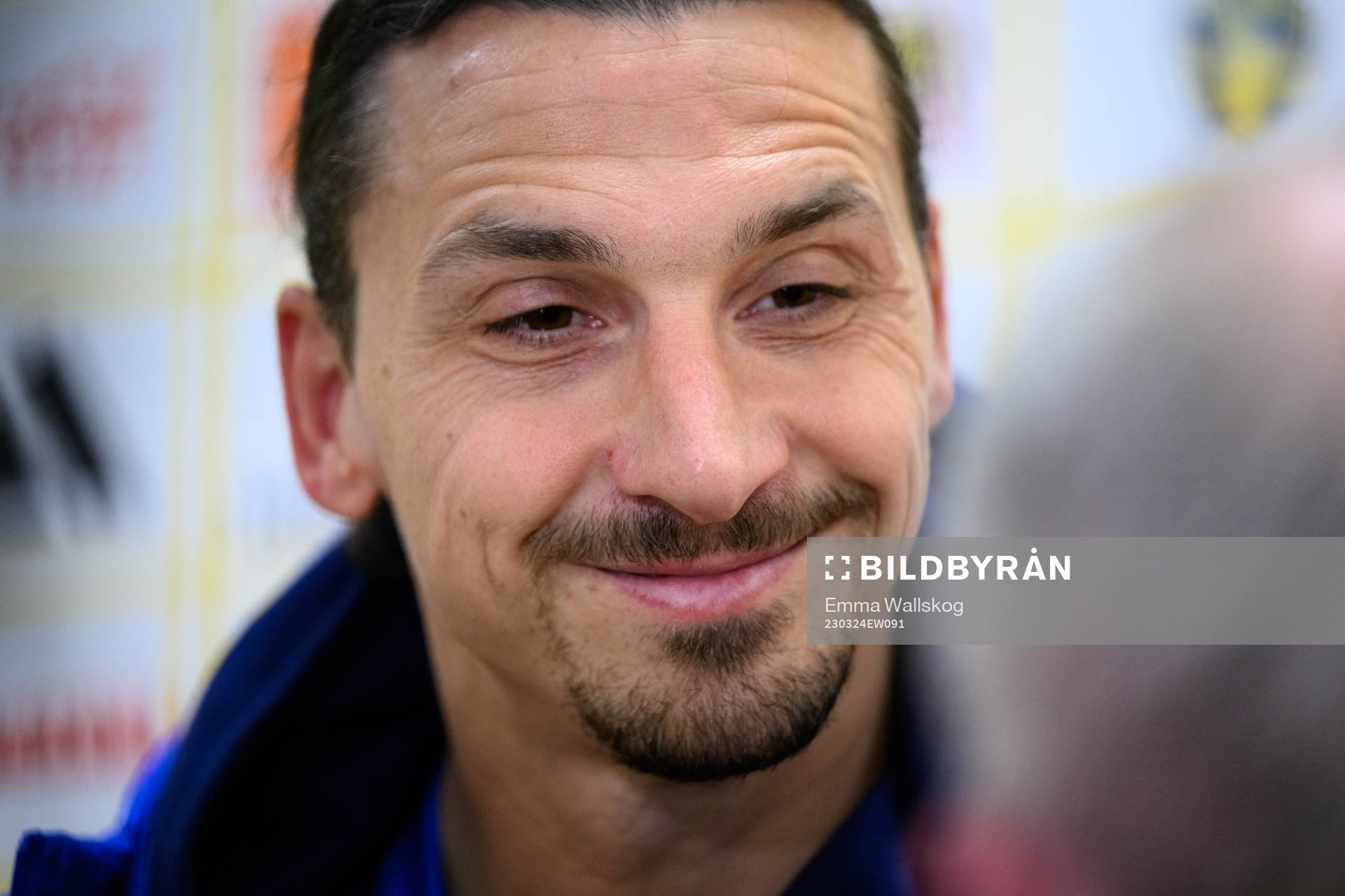 Zlatan Ibrahimovic of Sweden