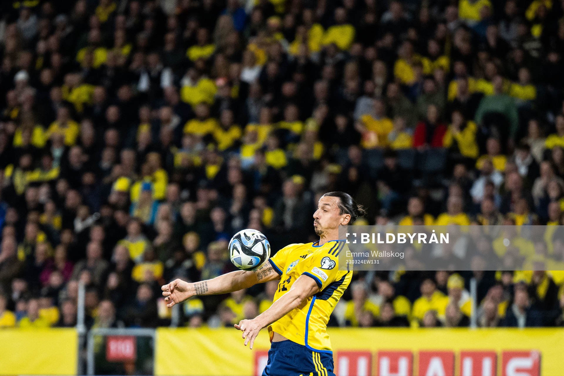Zlatan Ibrahimovic of Sweden
