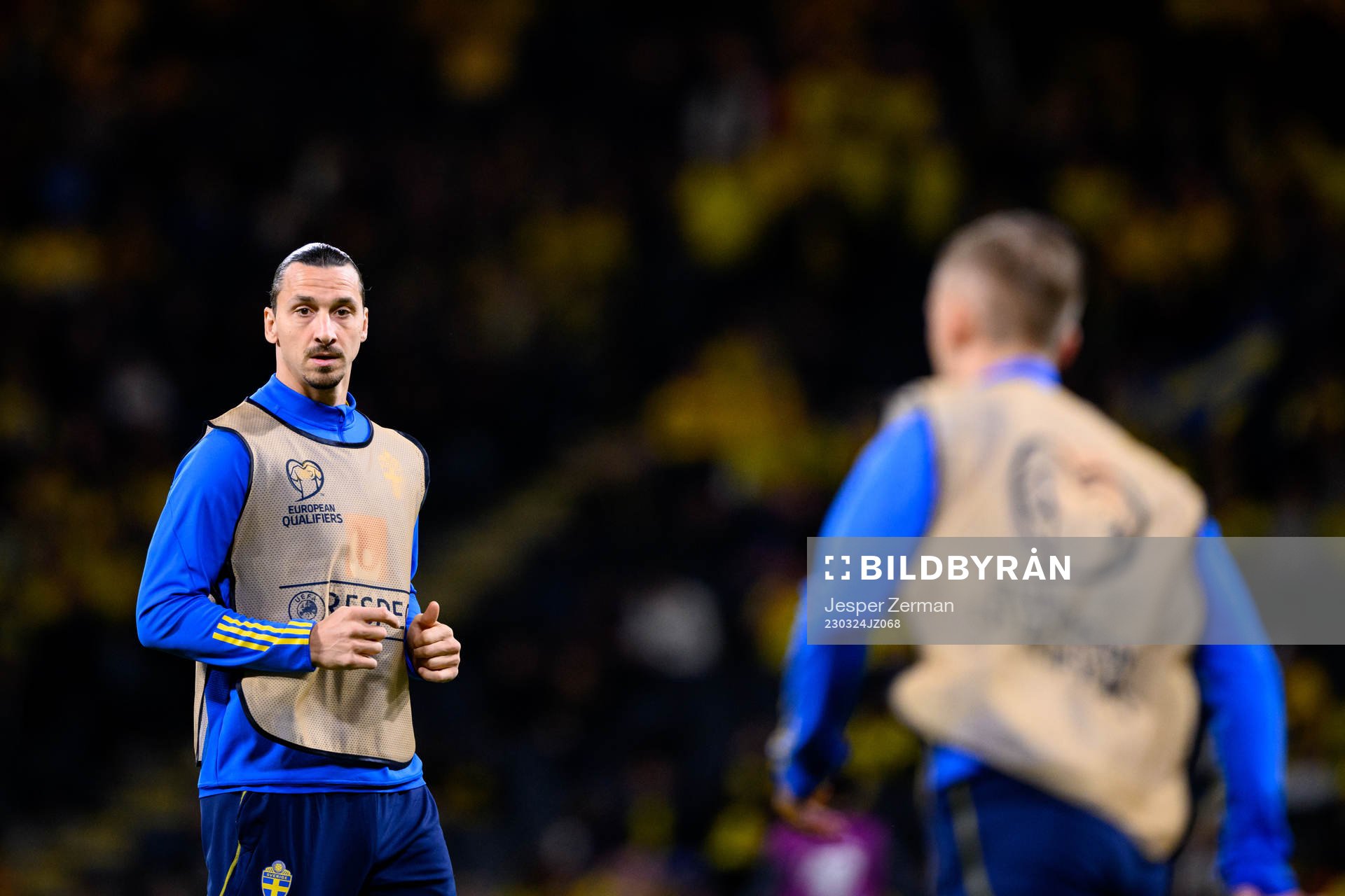 Zlatan Ibrahimovic of Sweden