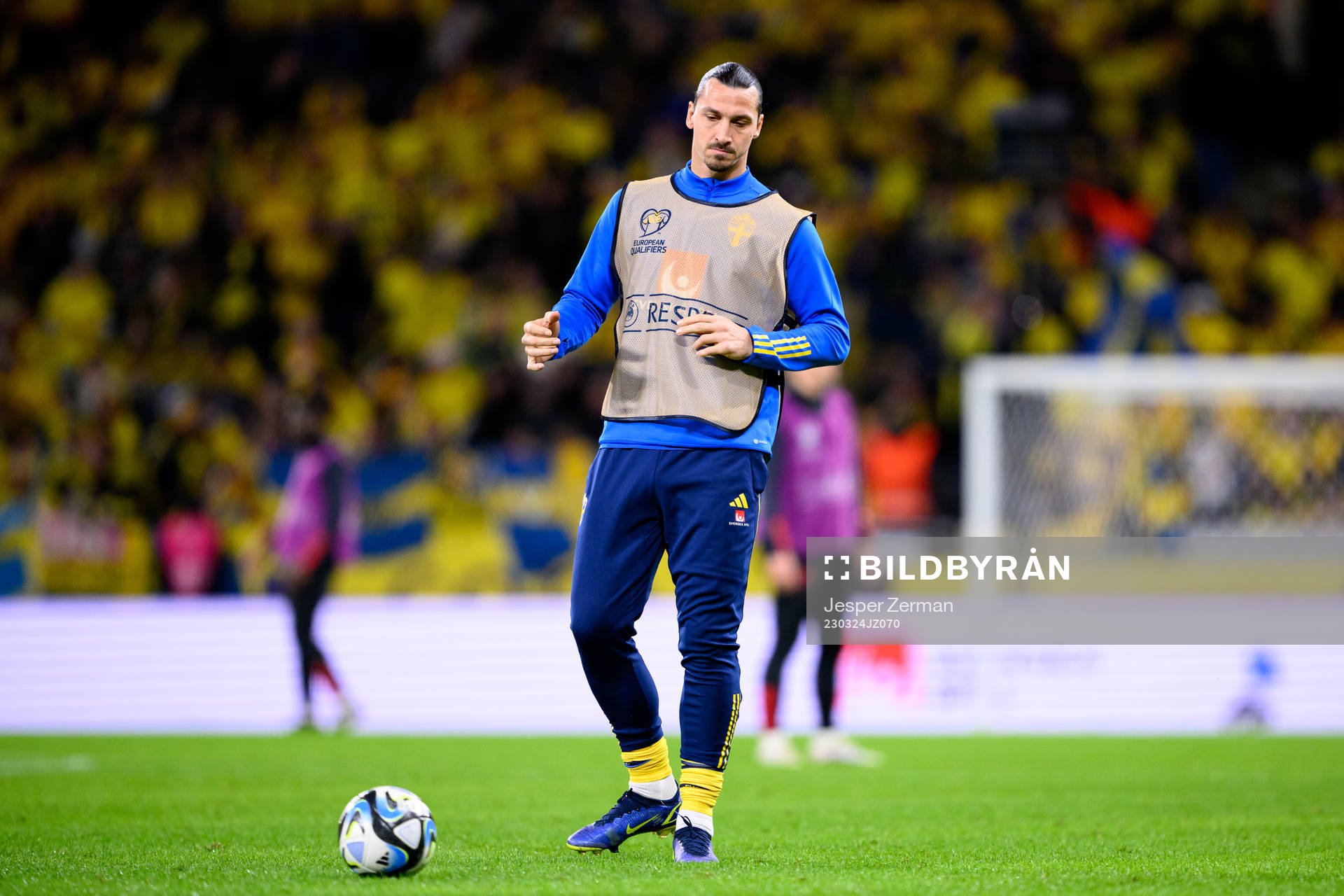 Zlatan Ibrahimovic of Sweden