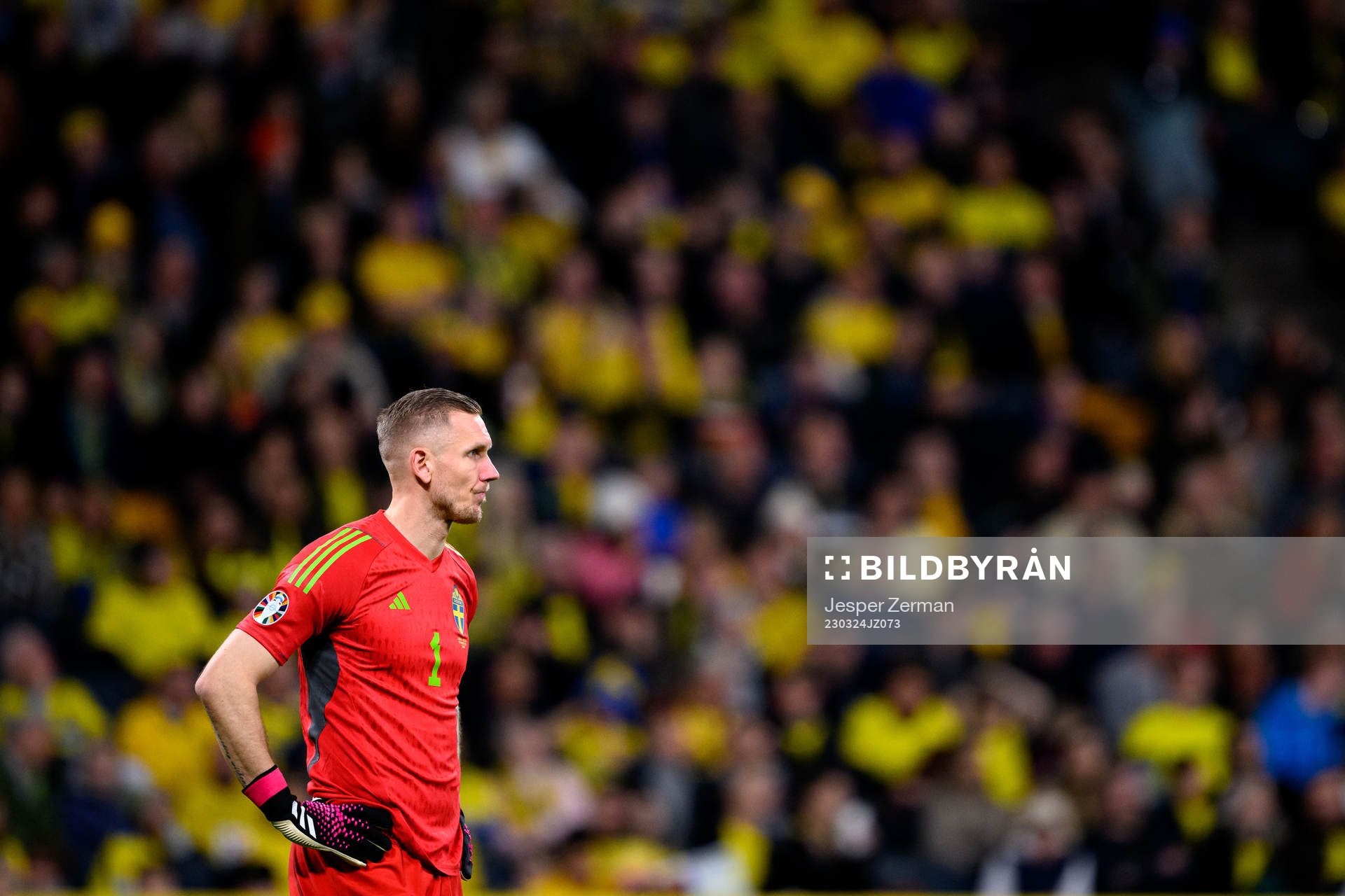 Goalkeeper Robin Olsen of Sweden looks dejected