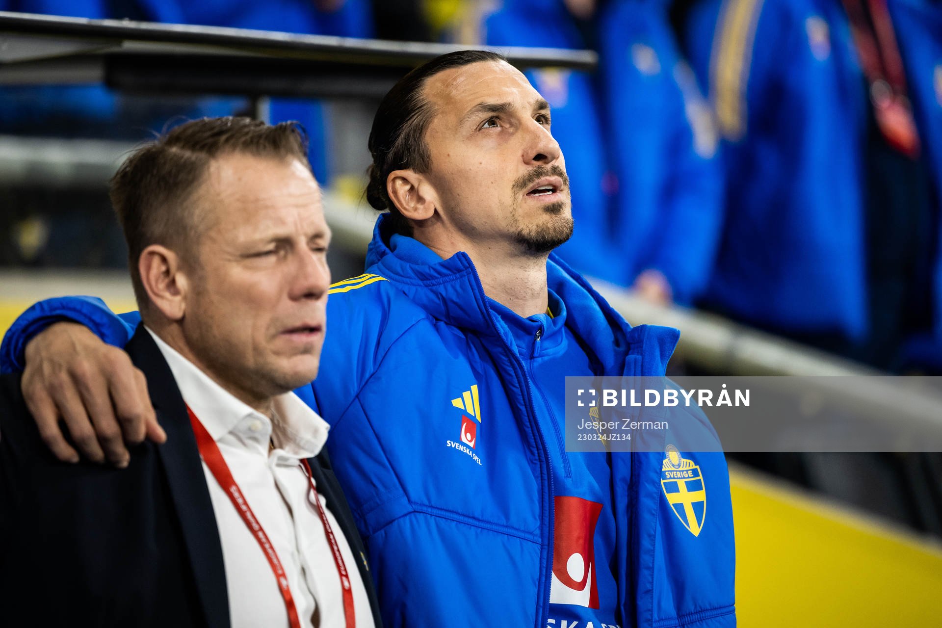 Zlatan Ibrahimovic of Sweden