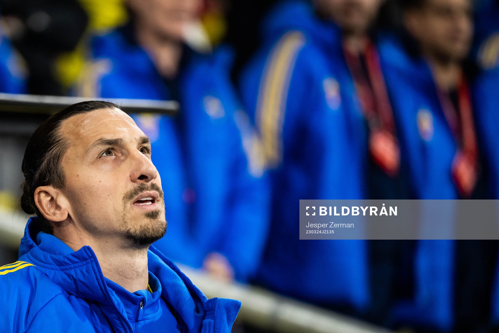 Zlatan Ibrahimovic of Sweden