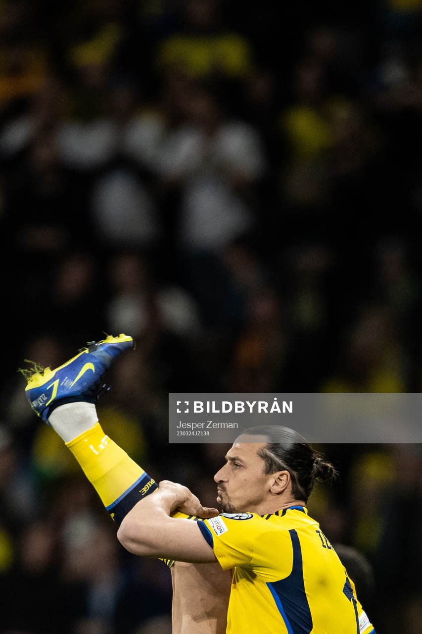 Zlatan Ibrahimovic of Sweden