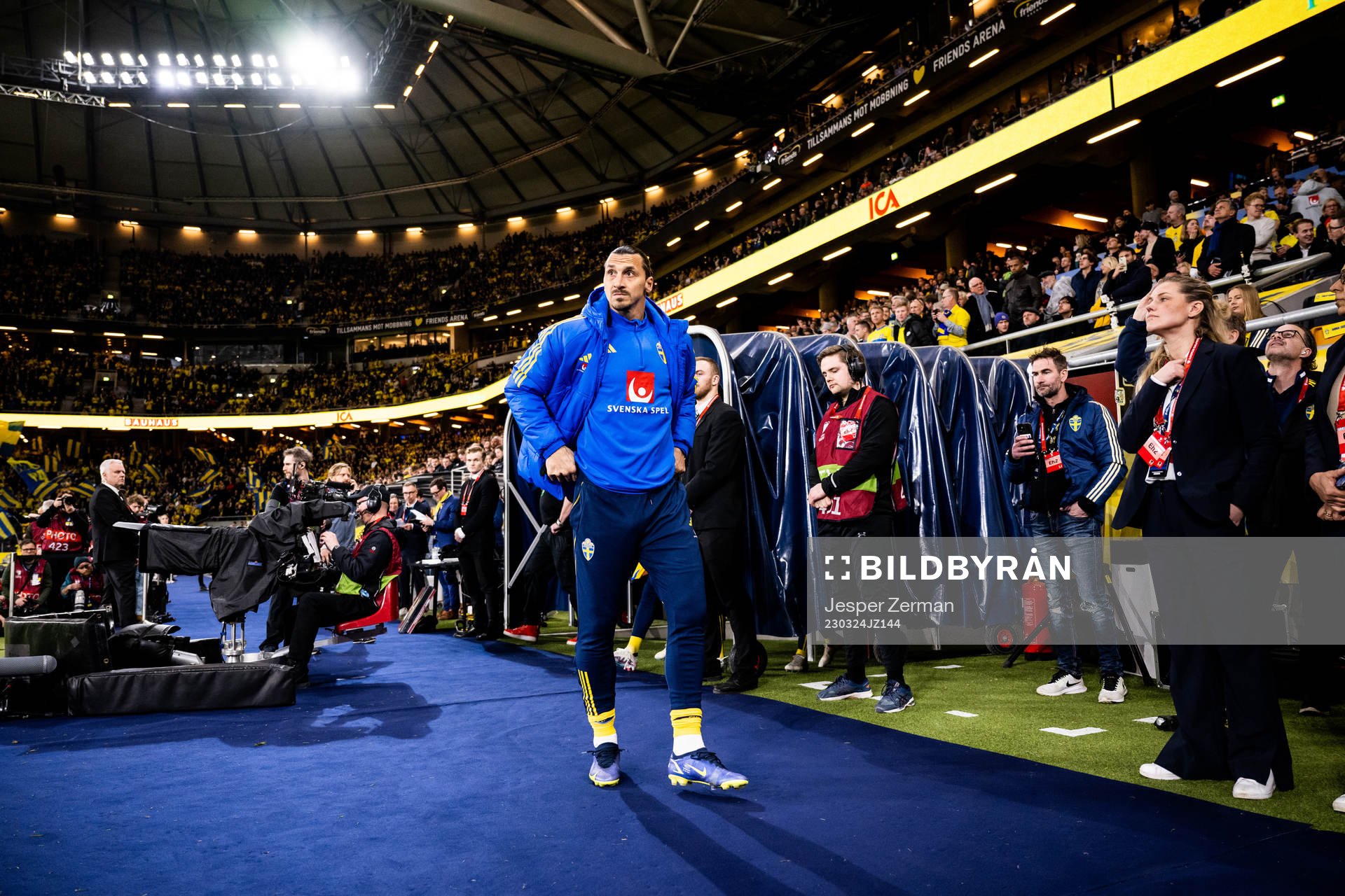 Zlatan Ibrahimovic of Sweden