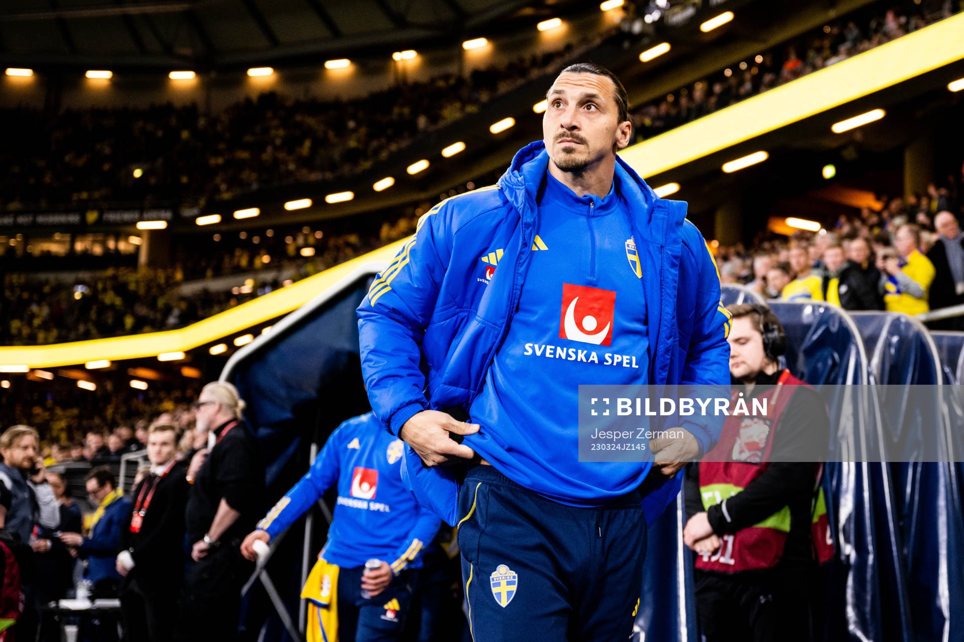 Zlatan Ibrahimovic of Sweden