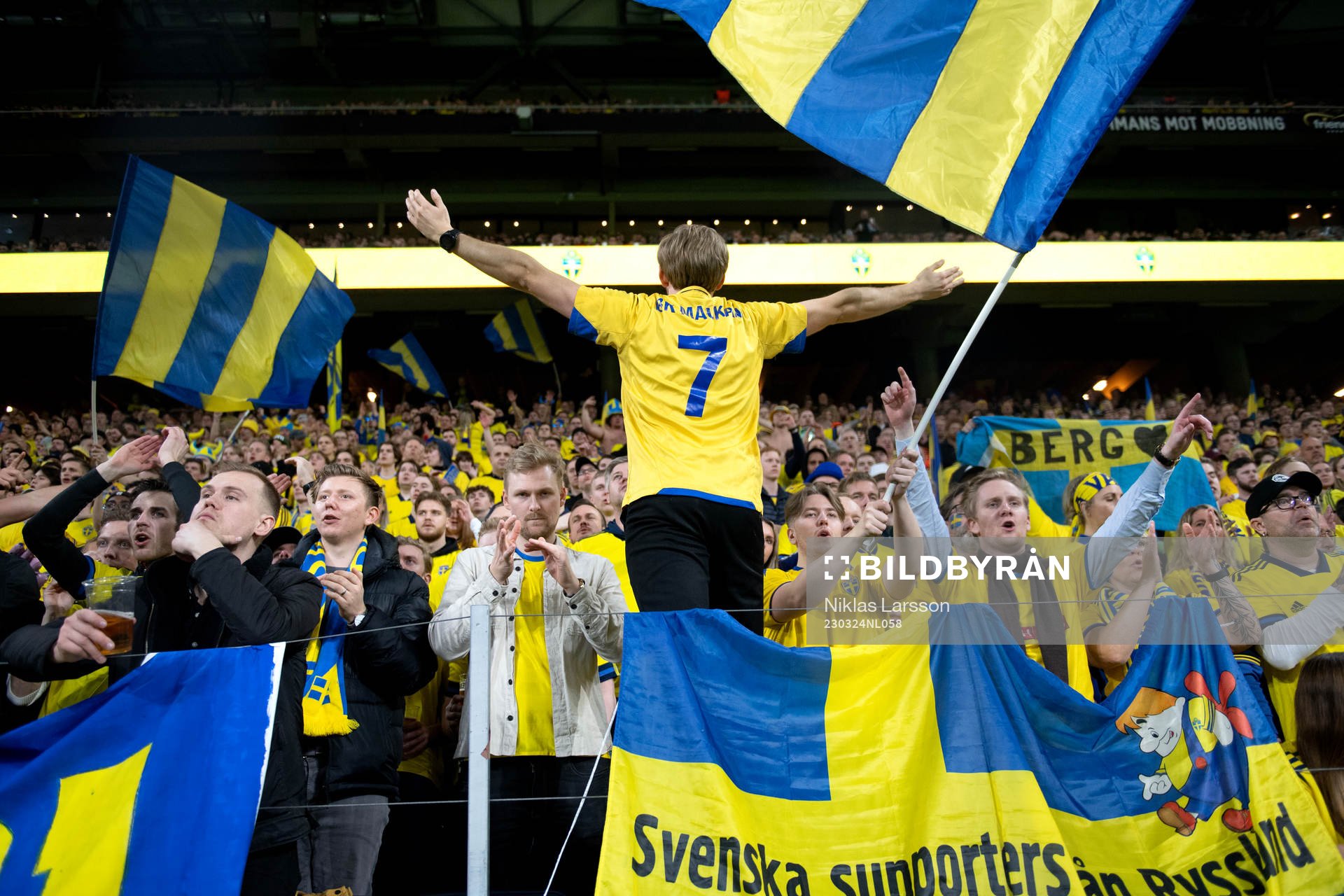 Fans of Sweden