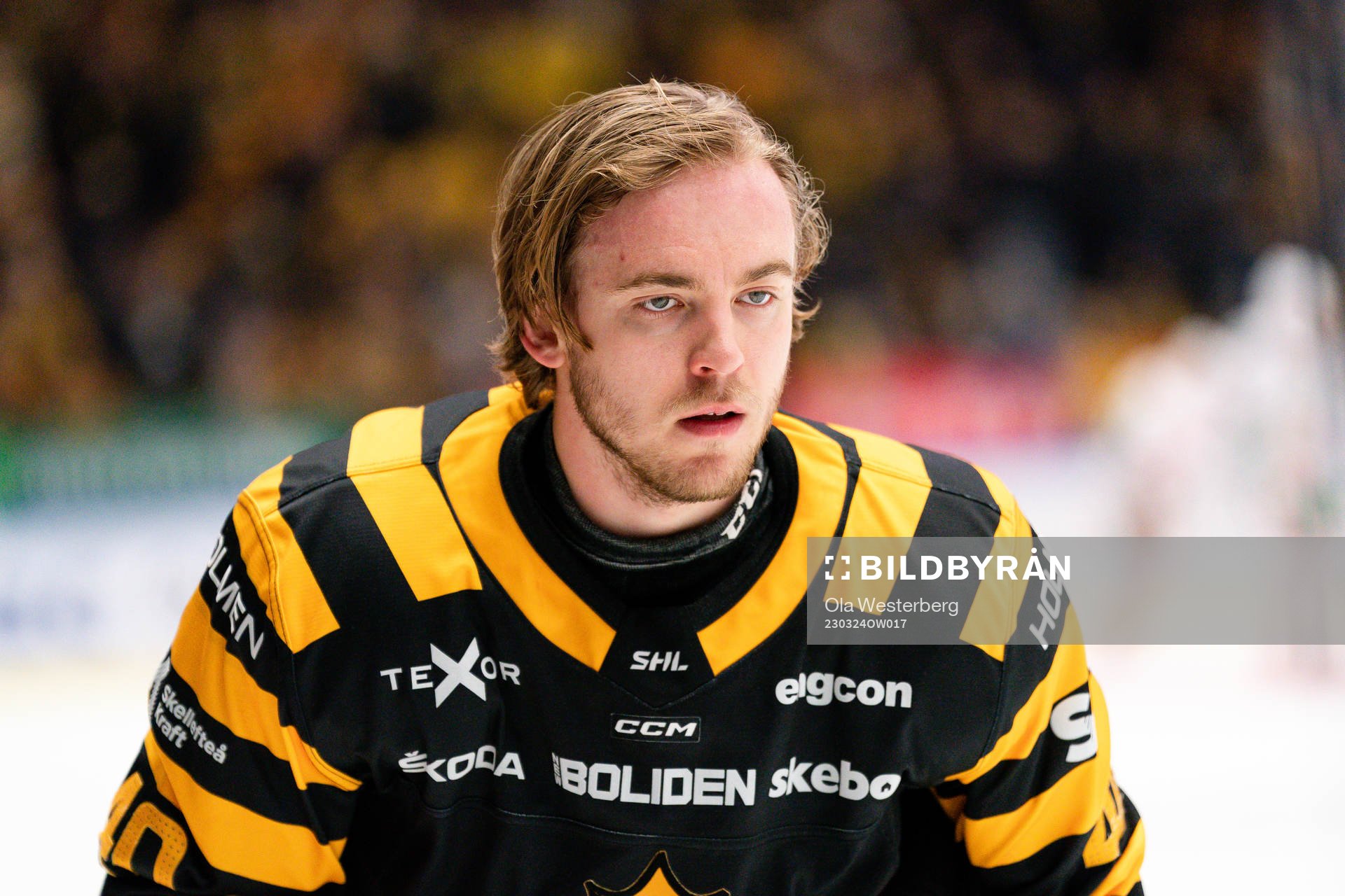 Skellefteå AIKs Andreas Wingerli