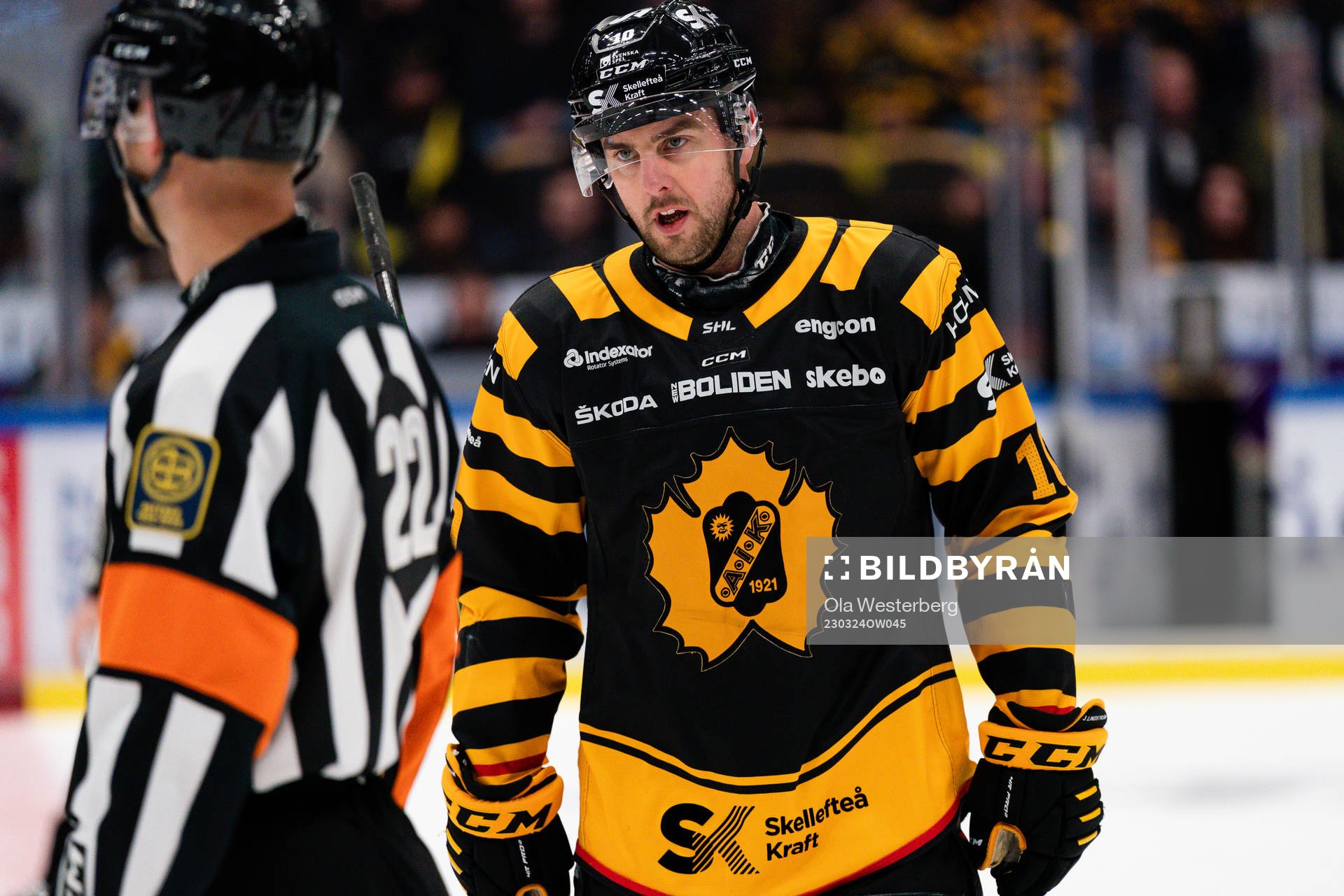 Domare Andreas Harnebring och Skellefteå AIKs Joakim