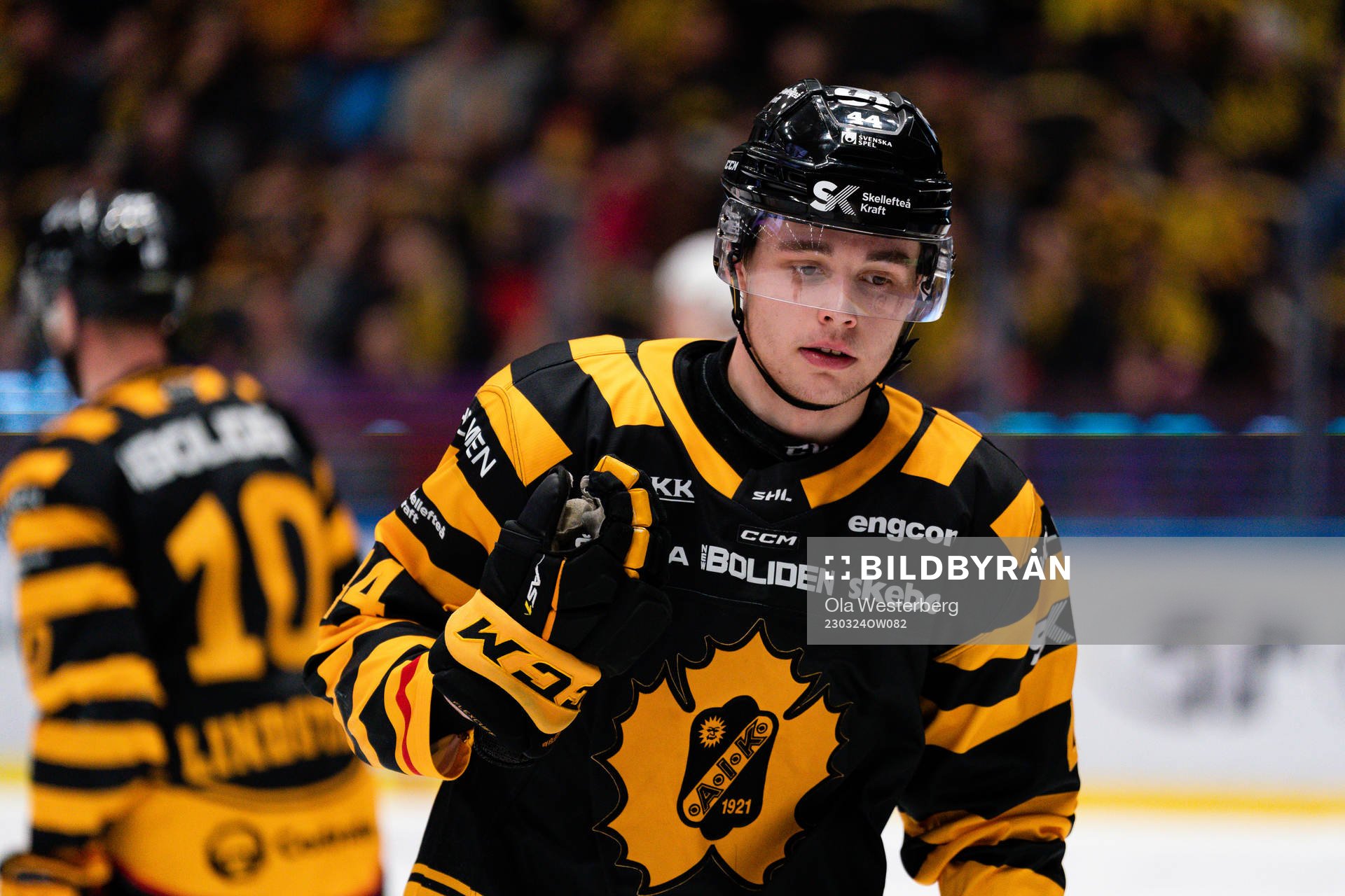 Skellefteå AIKs Elias Salomonsson