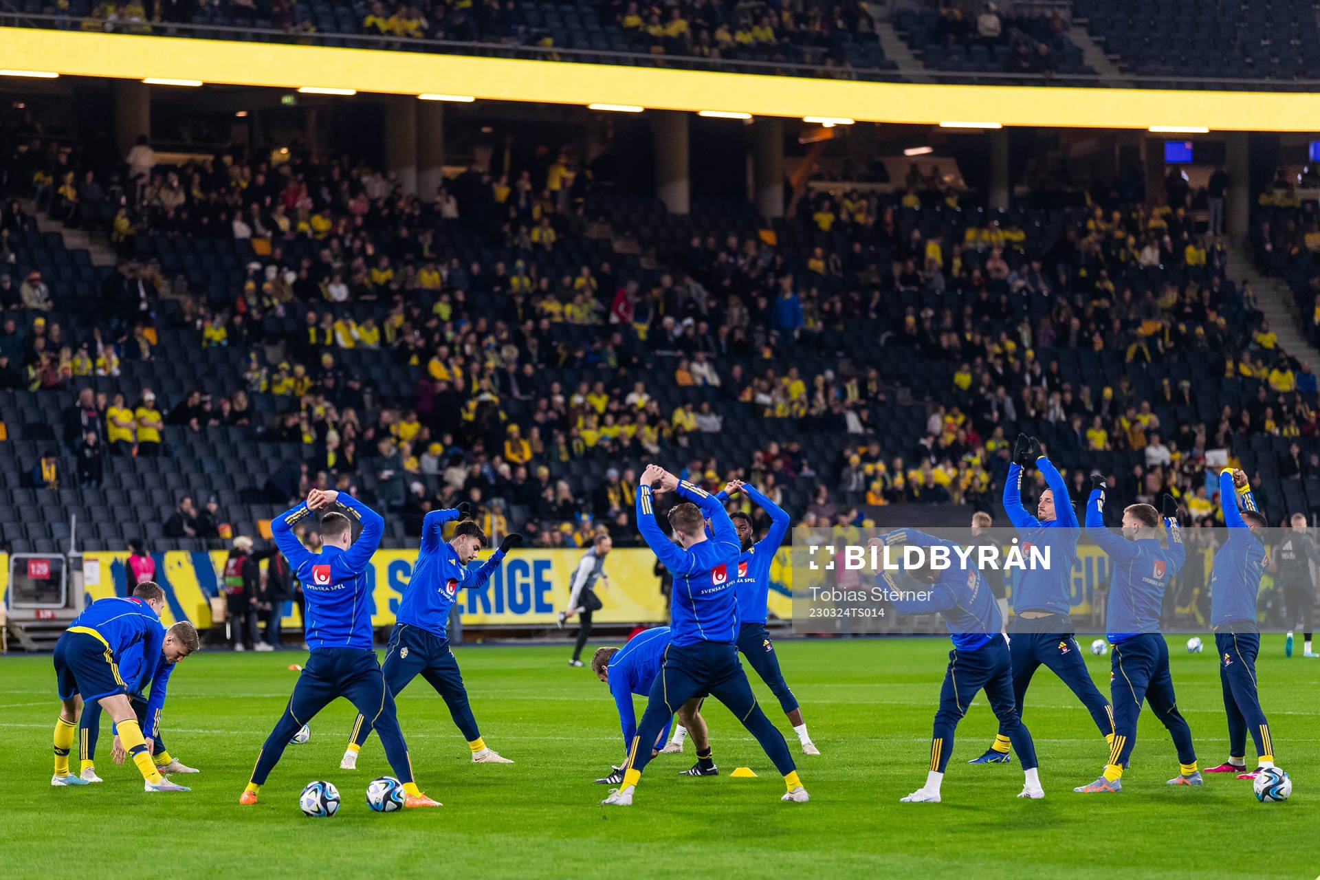 Players of Sweden