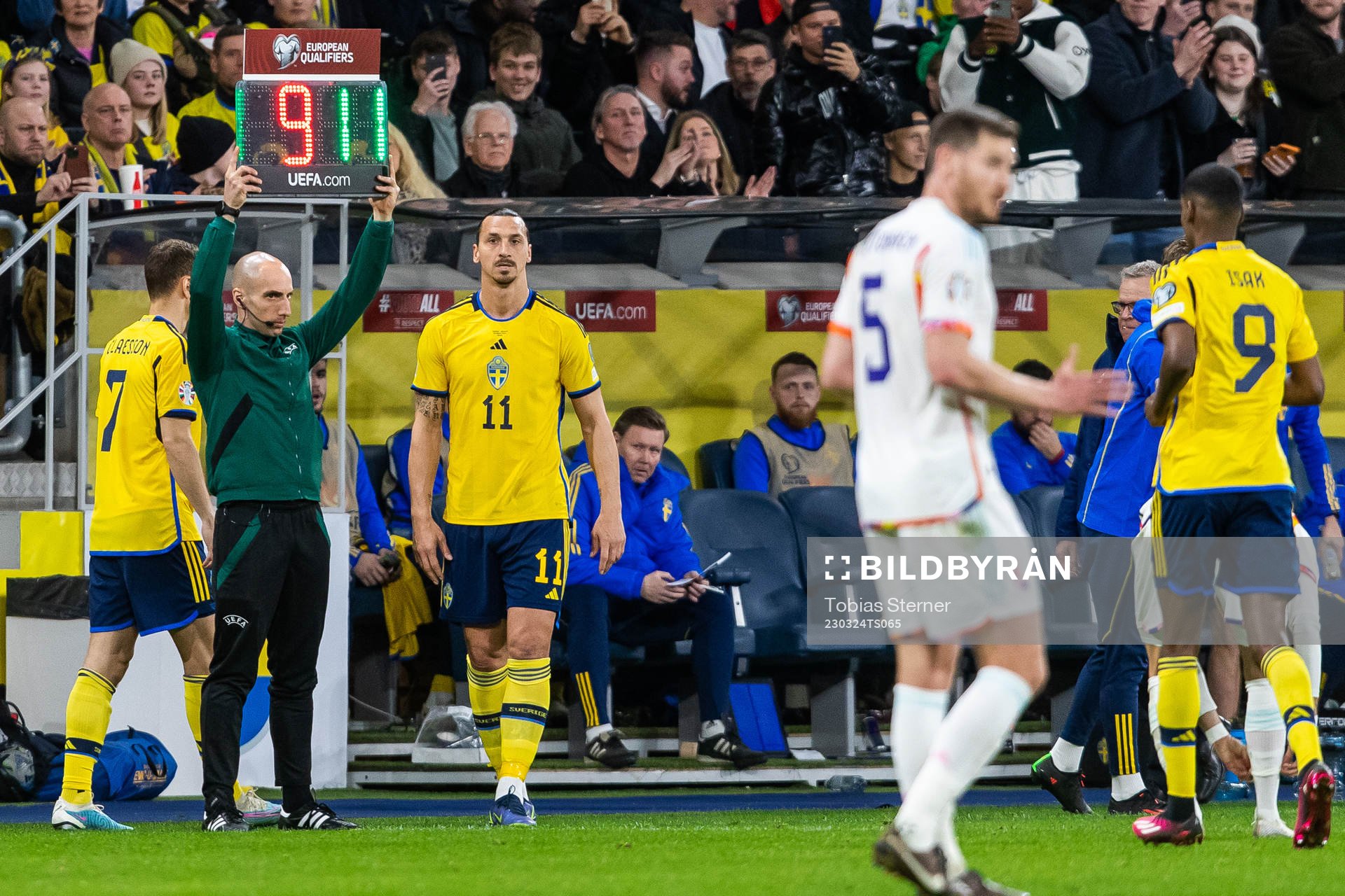 Zlatan Ibrahimovic of Sweden is substituted