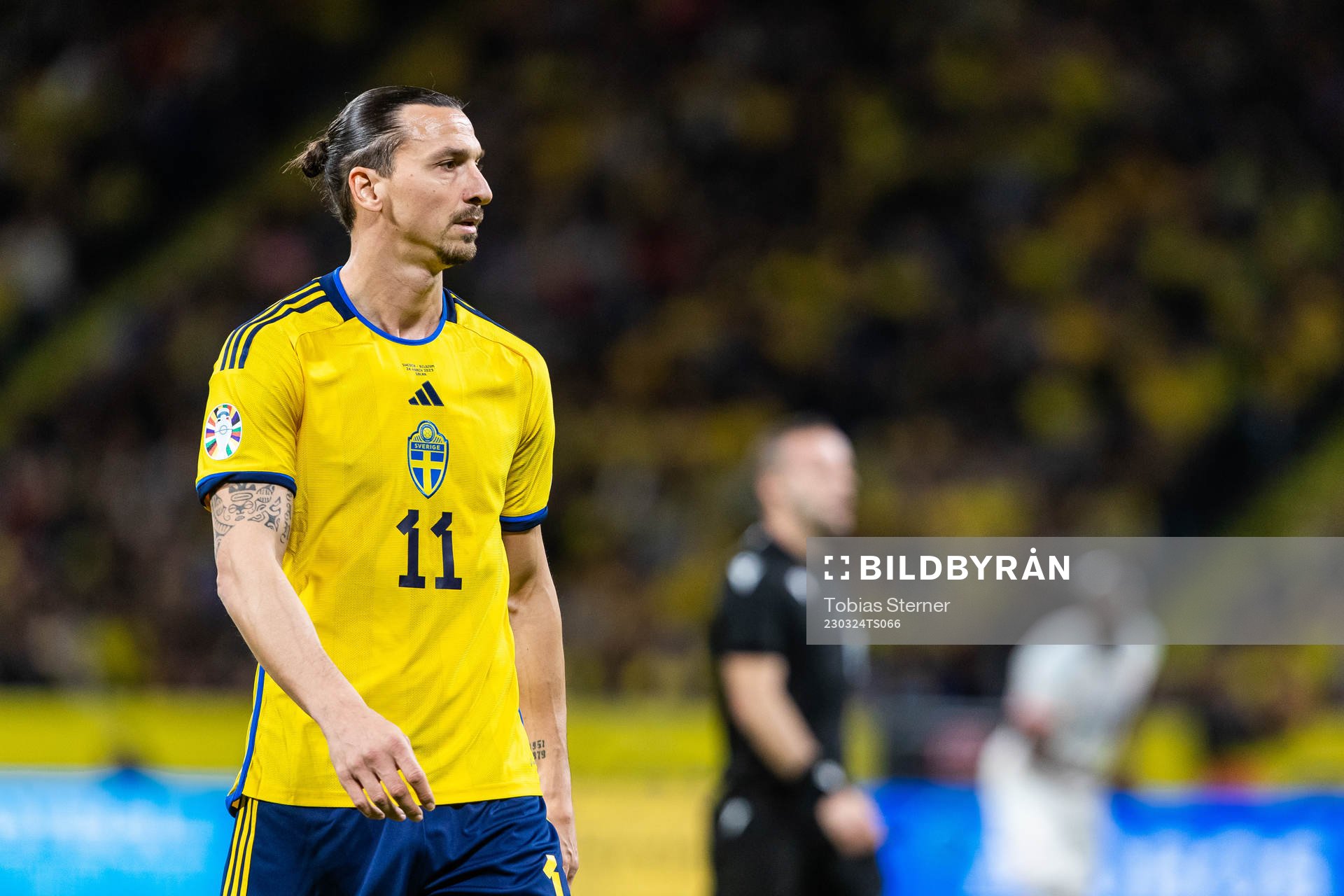 Zlatan Ibrahimovic of Sweden