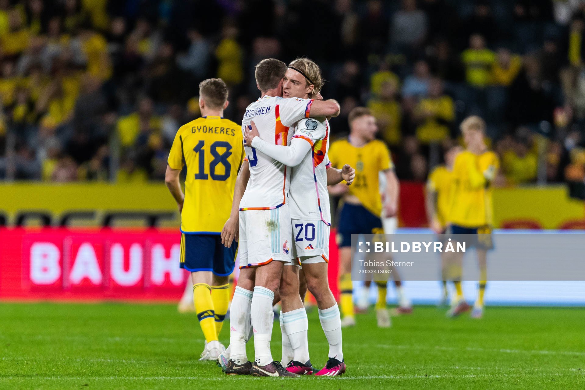 Jan Vertonghen and Sebastiaan Bornauw celebrate