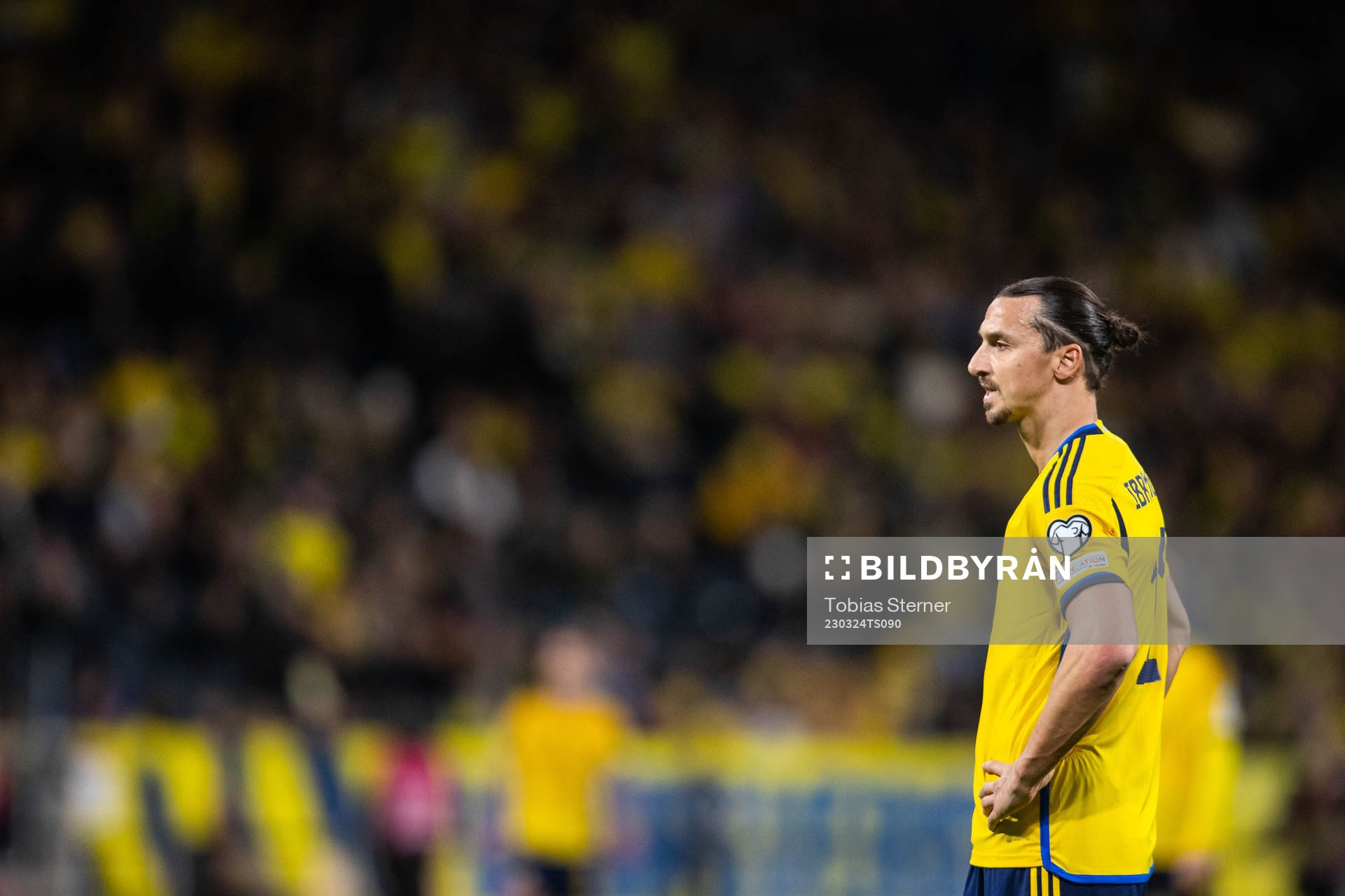 Zlatan Ibrahimovic of Sweden