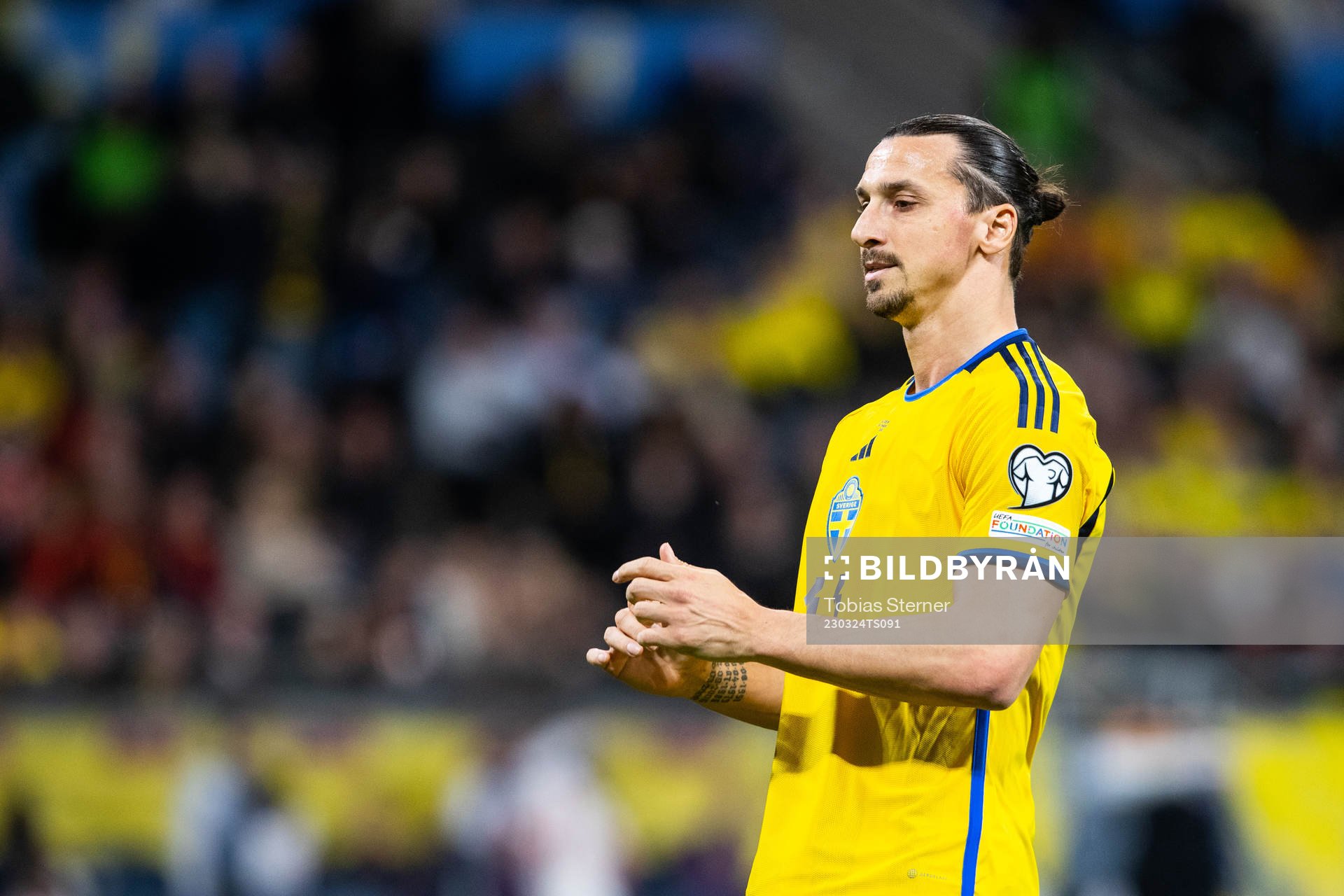 Zlatan Ibrahimovic of Sweden