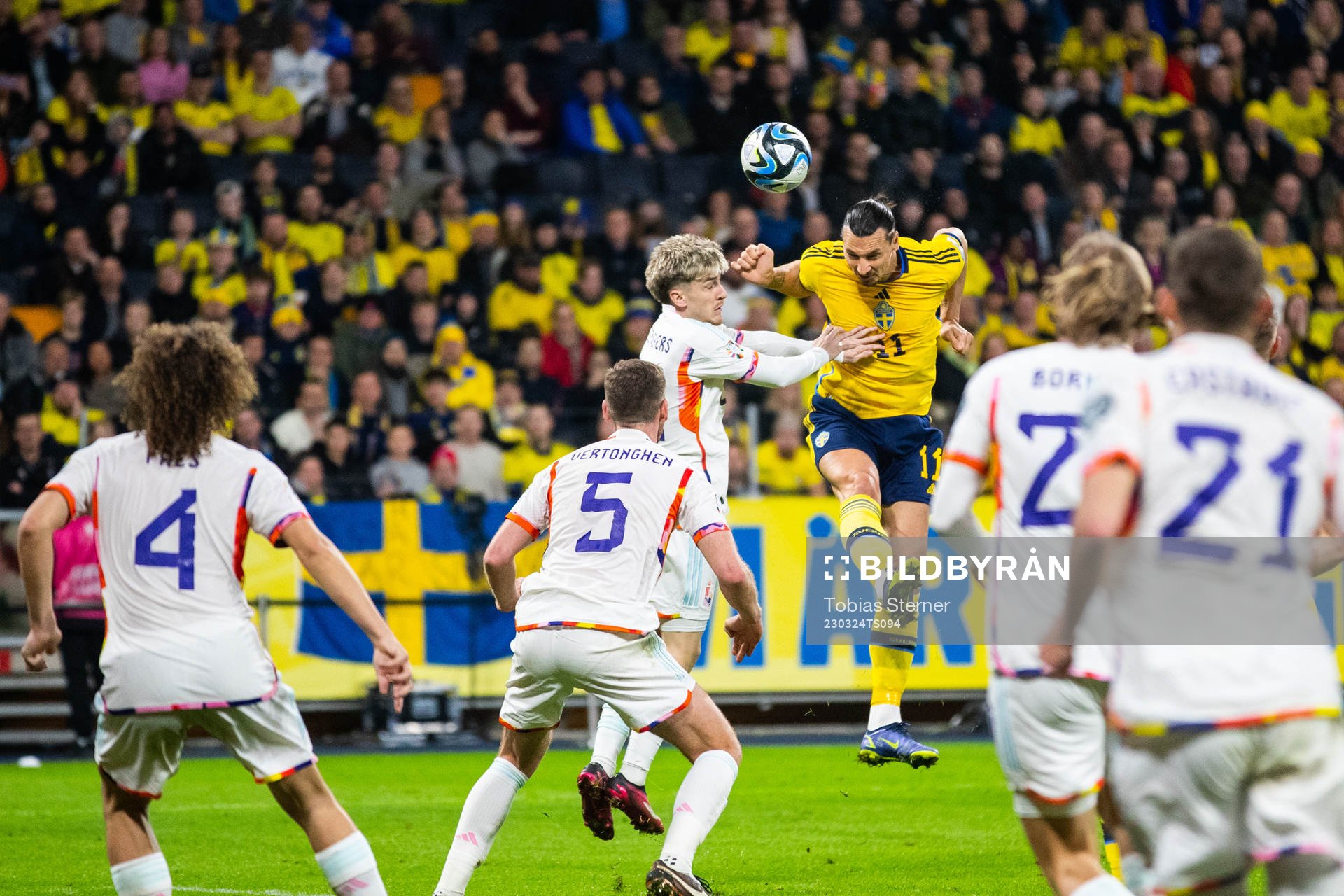 Zlatan Ibrahimovic of Sweden