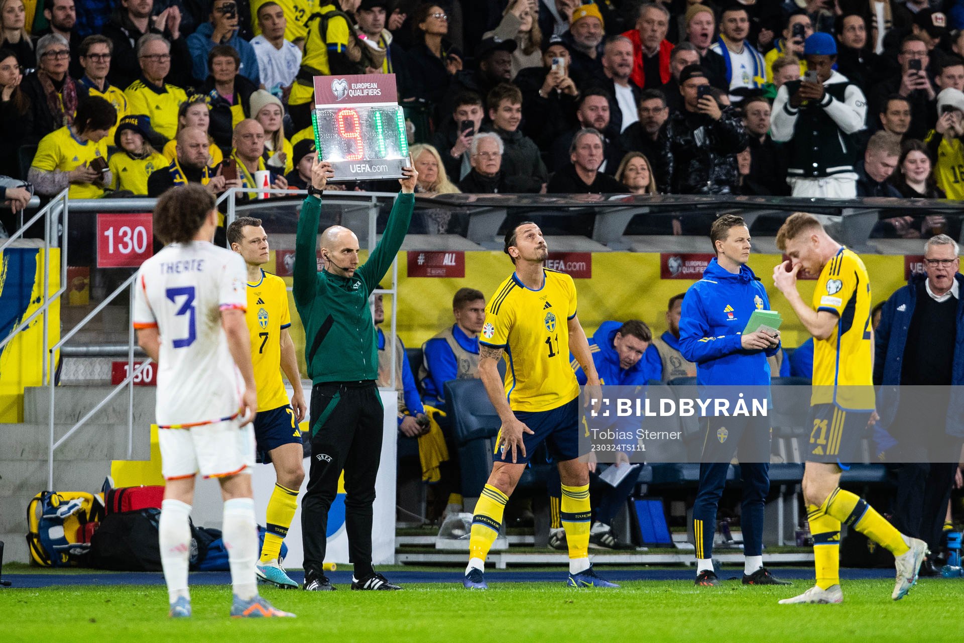 Zlatan Ibrahimovic of Sweden