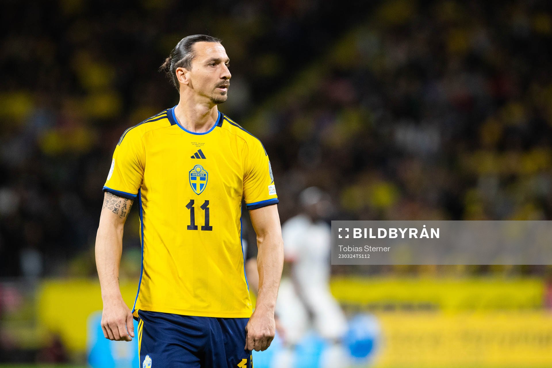 Zlatan Ibrahimovic of Sweden