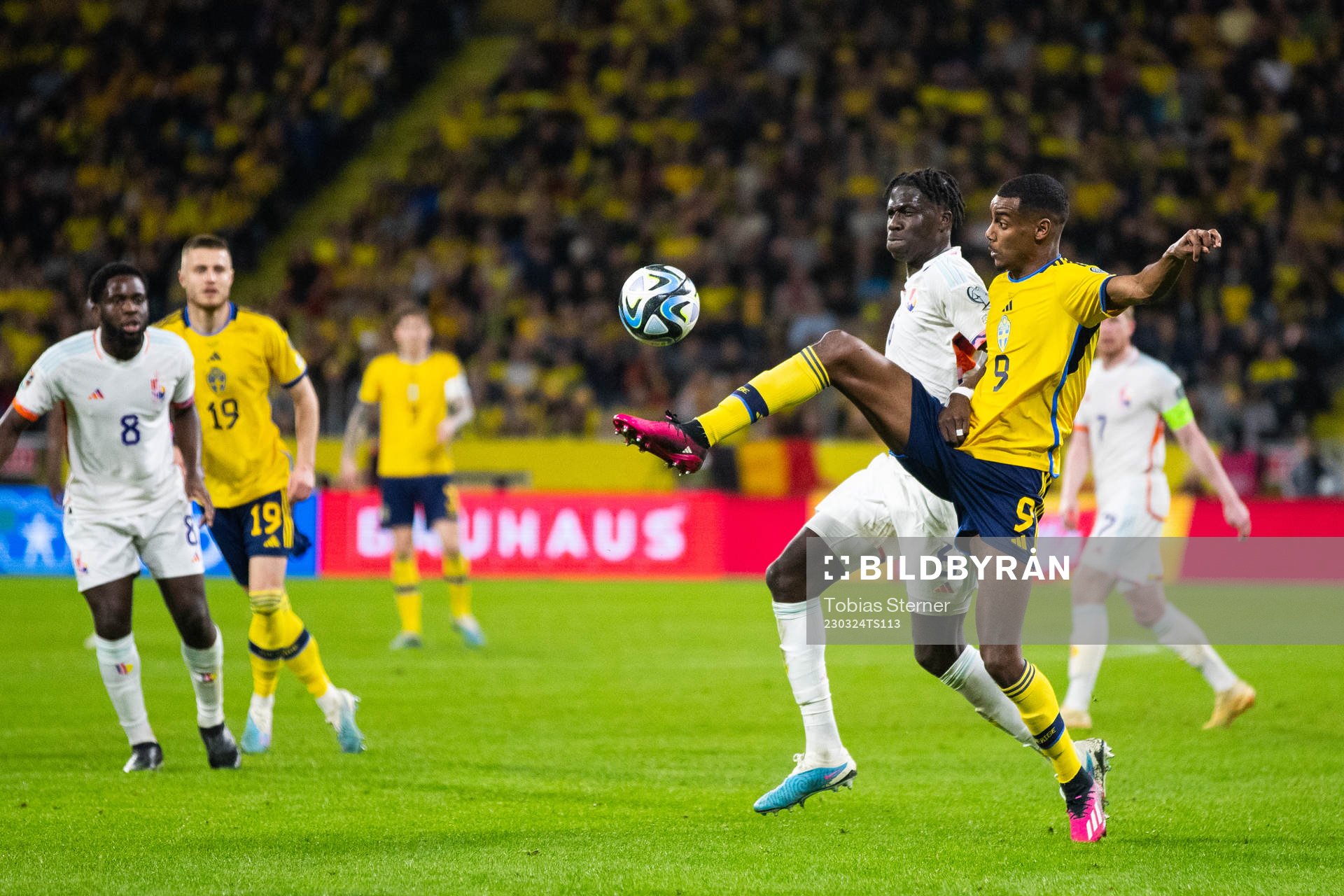 Amadou Onana of Belgium and Alexander Isak of Sweden