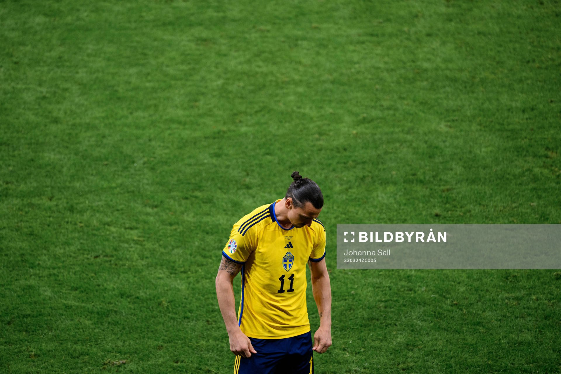 Zlatan Ibrahimovic of Sweden