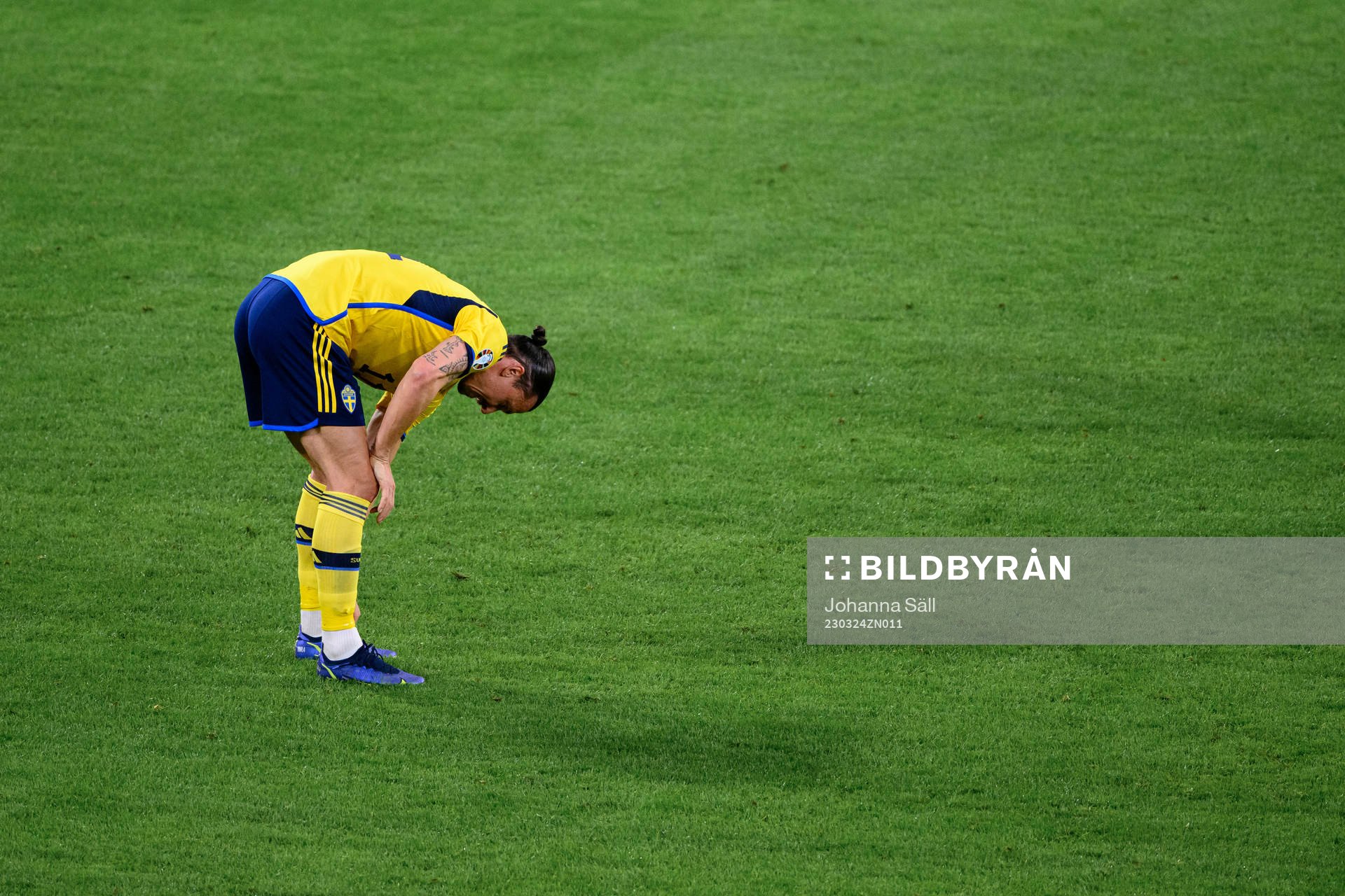 Zlatan Ibrahimovic of Sweden