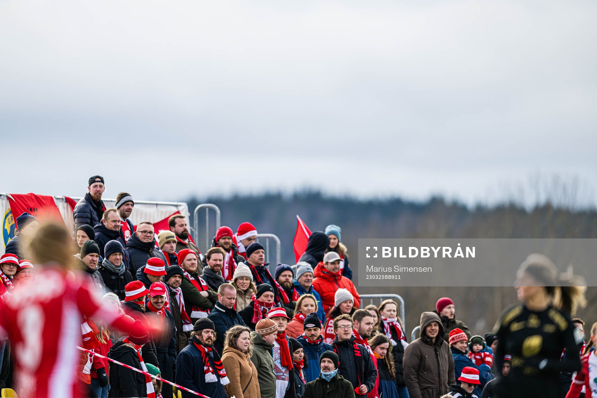 Spectators in the stands