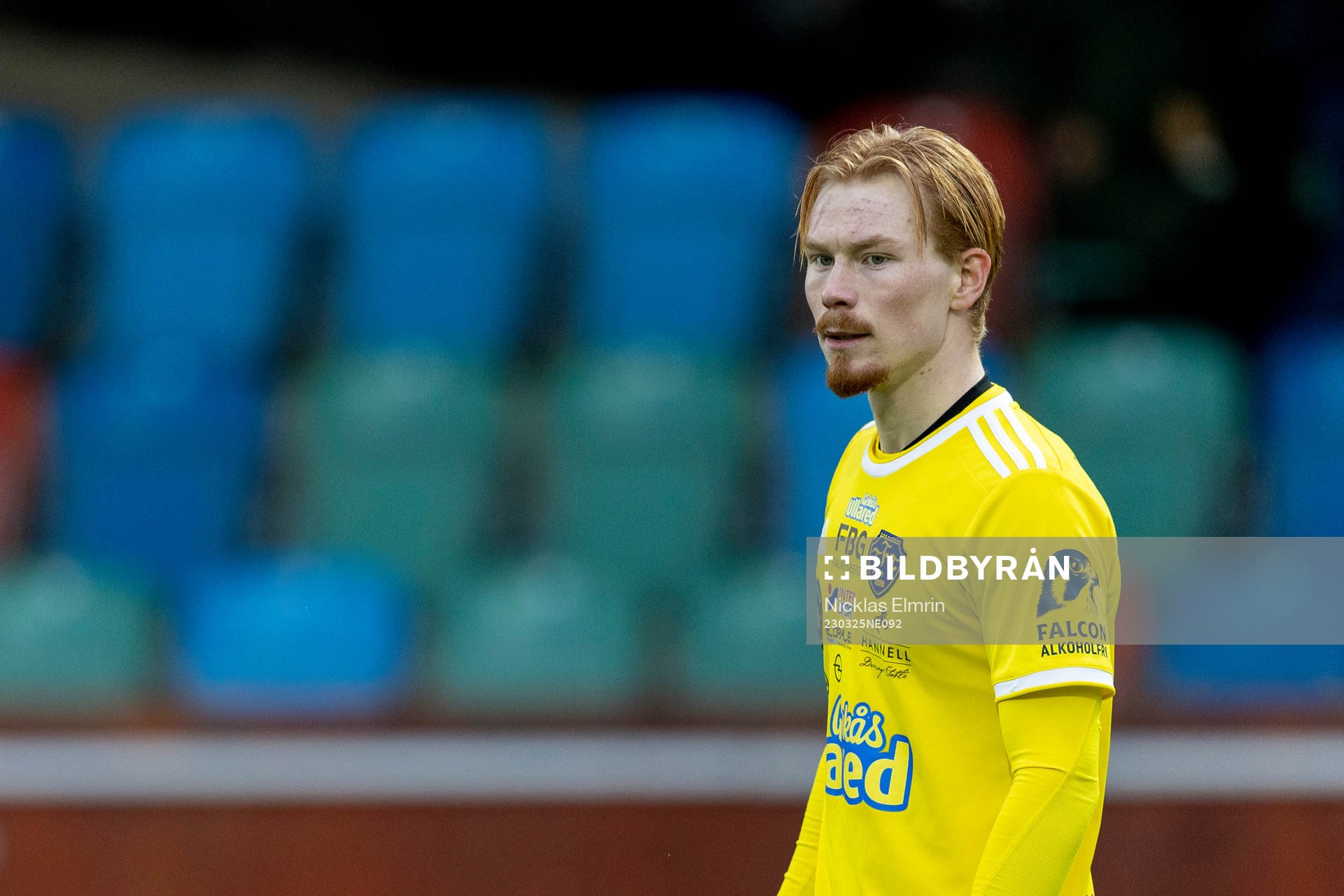 Falkenbergs Linus Borgström