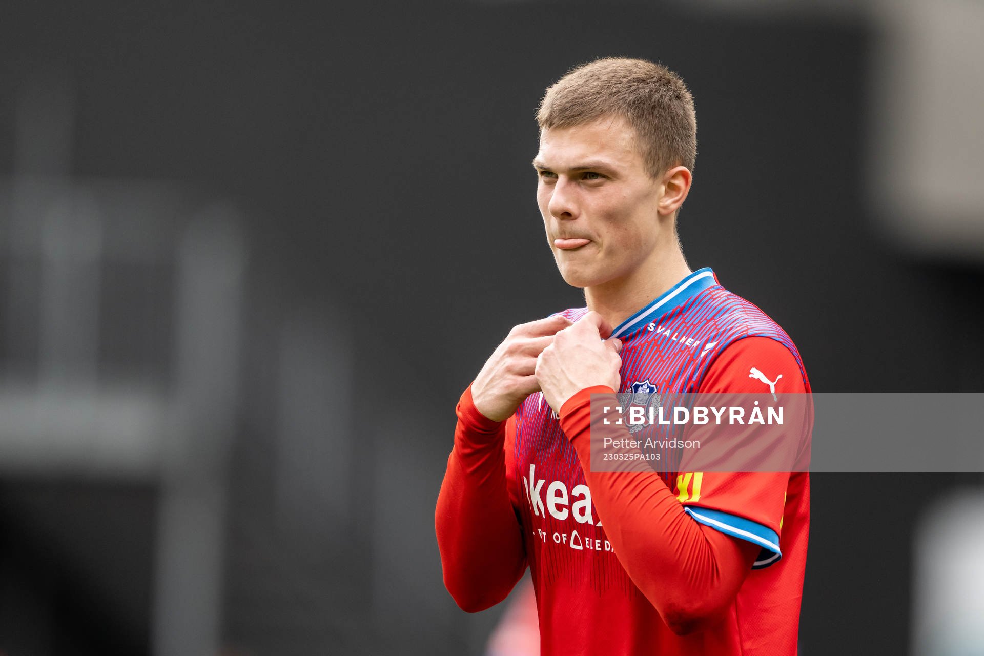 Helsingborgs Erik Ring