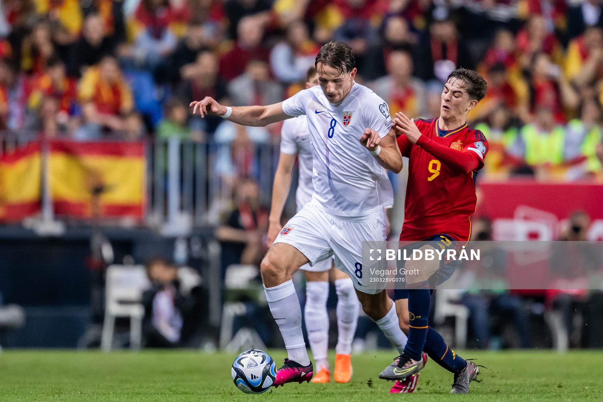 Sander Berge of Norway and Gavi of Spain