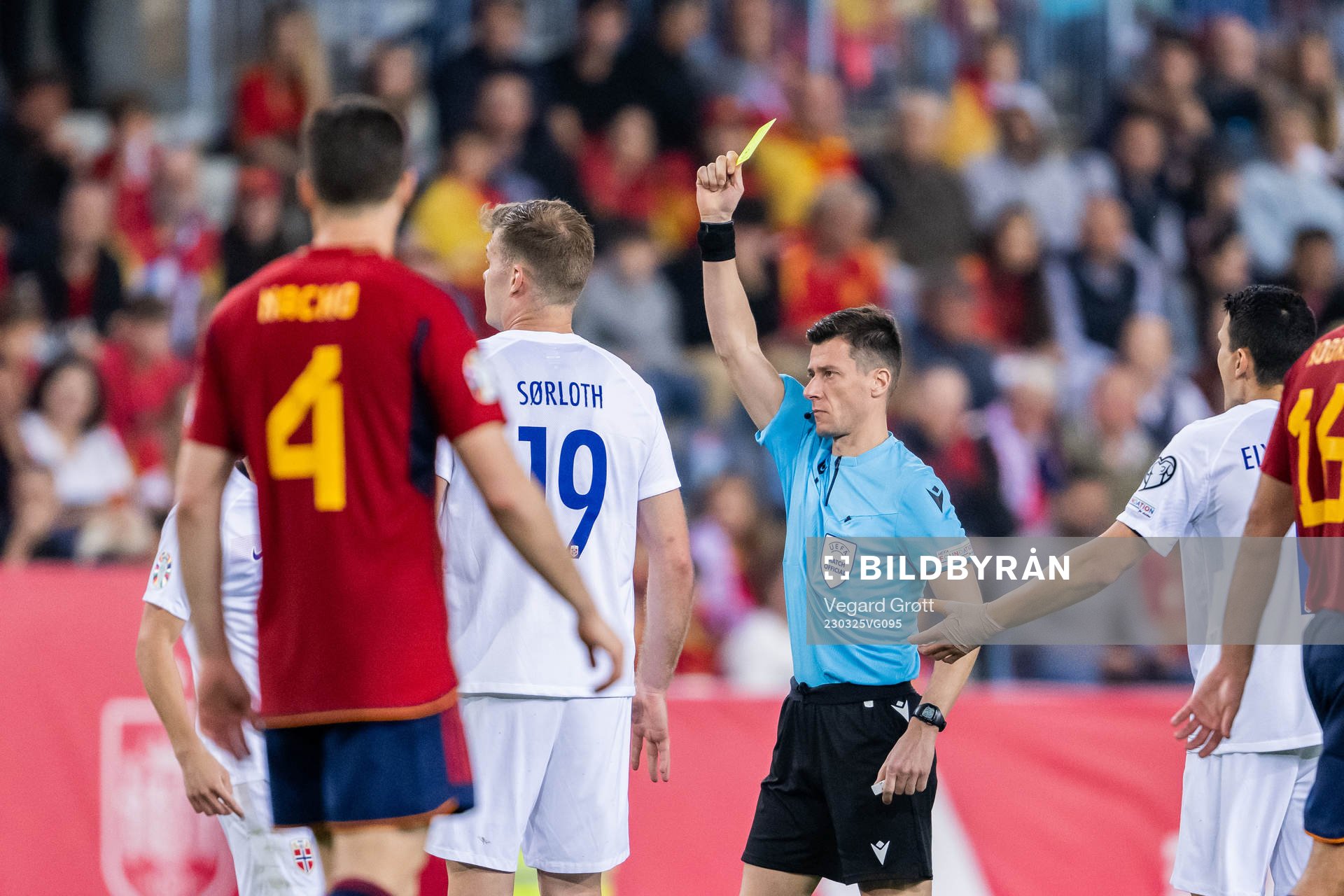Referee Benoit Bastien