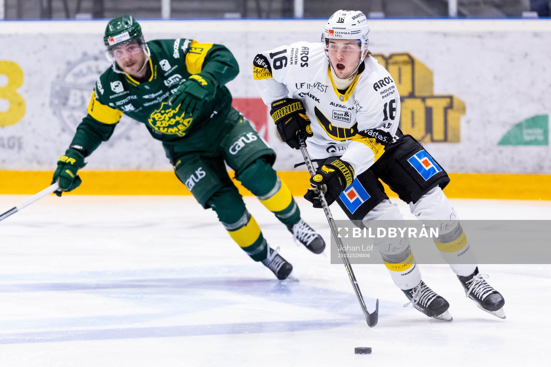Västerås Zeteny Hadobas